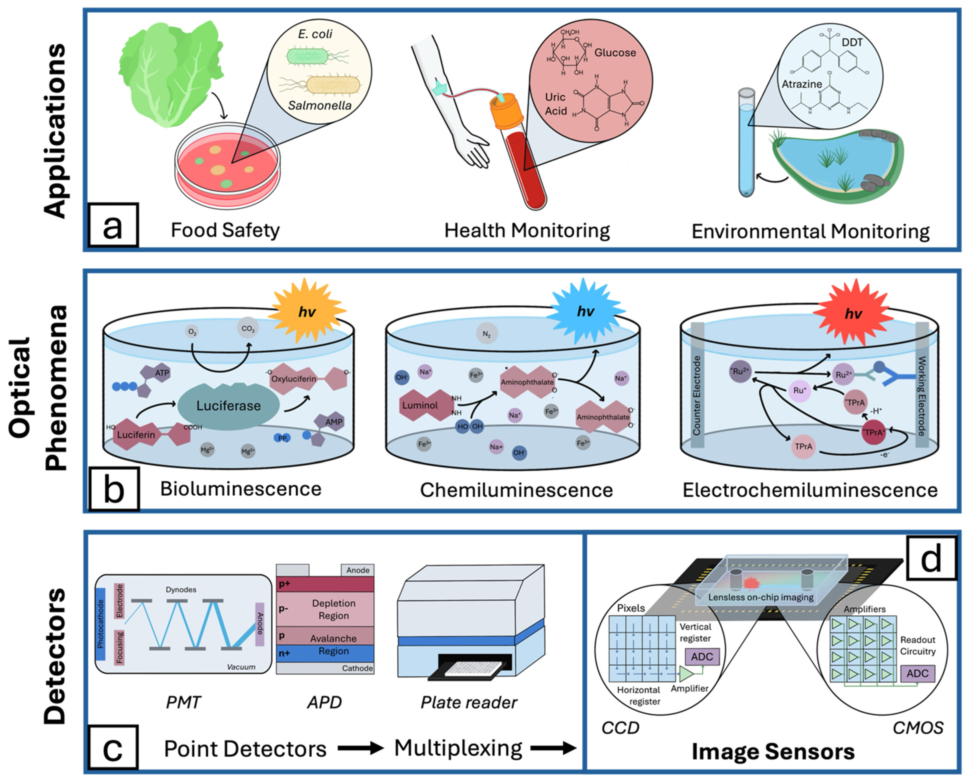 Bioengineering 11 00912 g001 Bioengineering 11 00912 g001