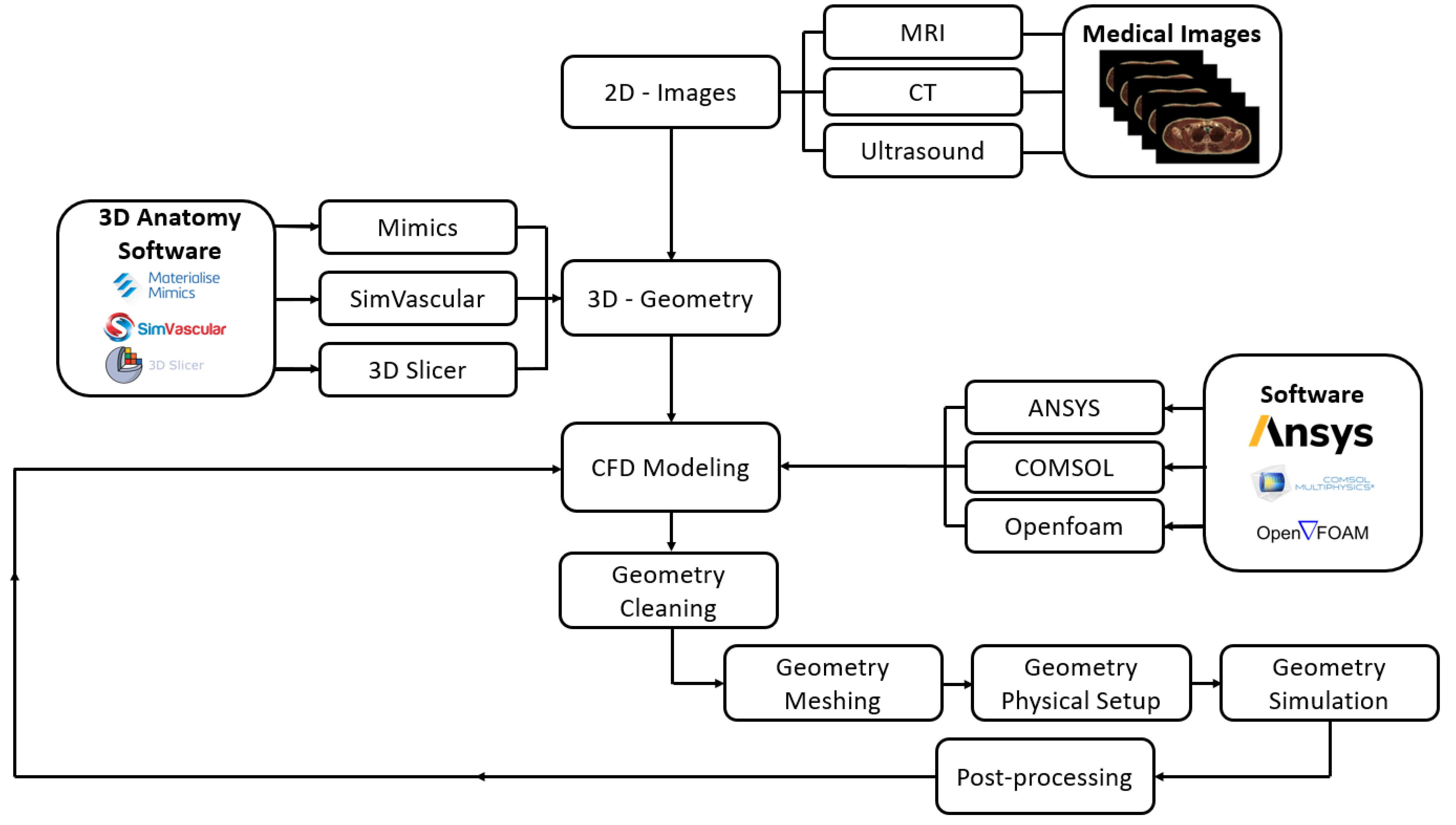 Bioengineering 11 00914 g001