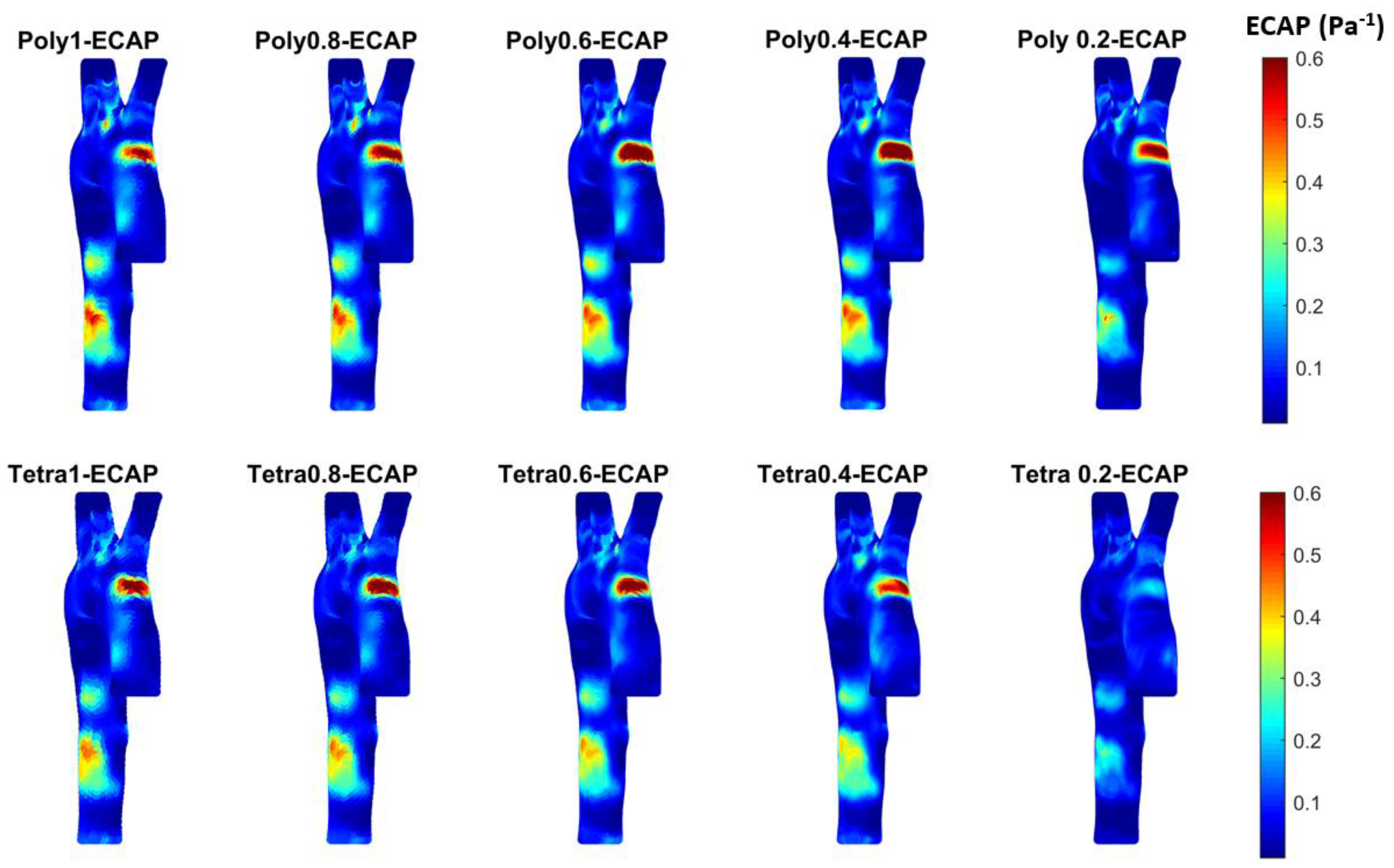 Bioengineering 11 00914 g011
