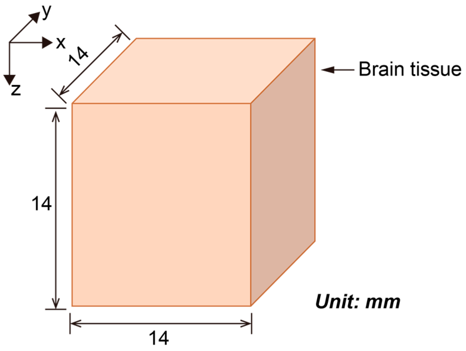 Bioengineering 11 00916 g001