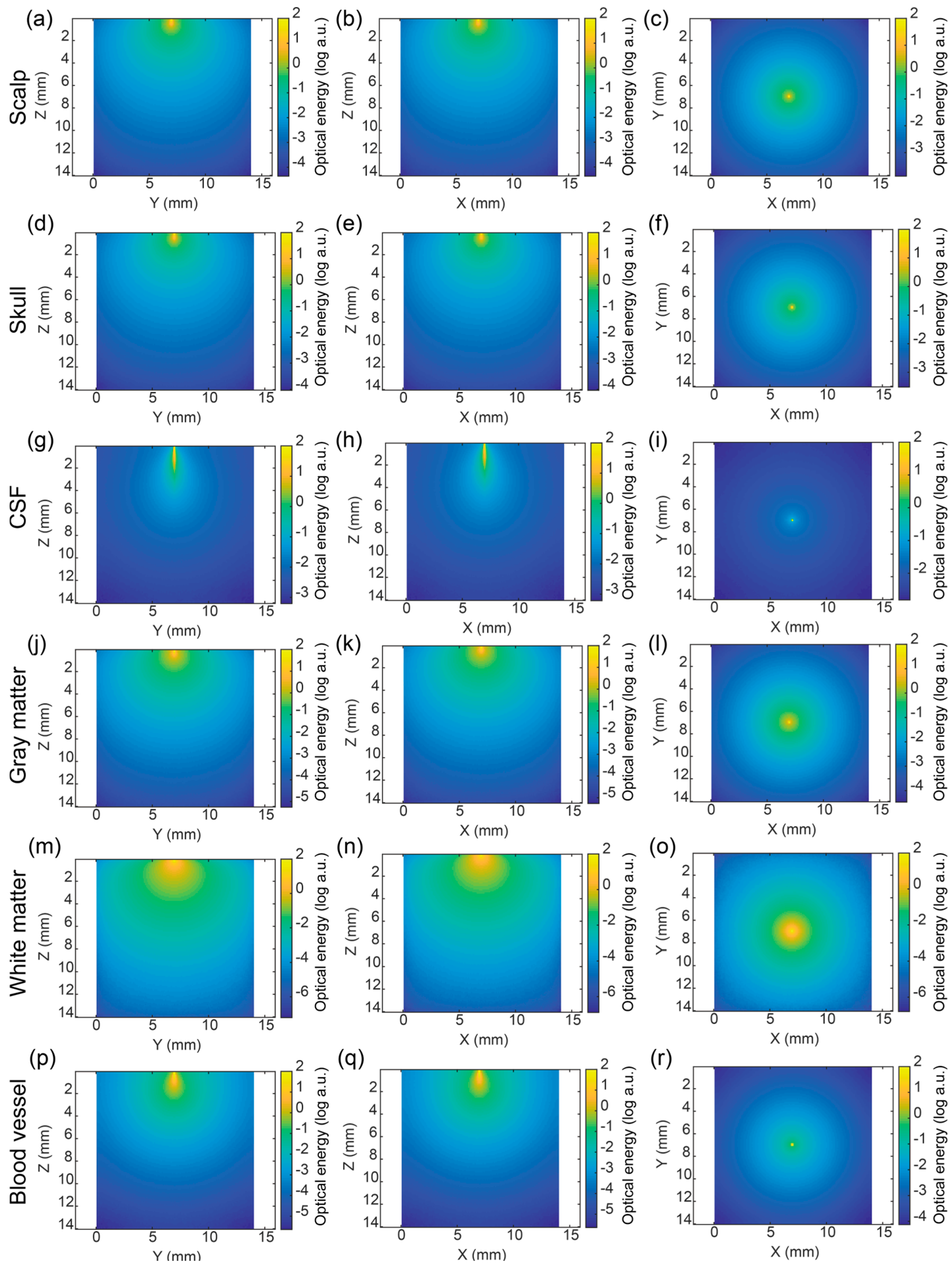 Bioengineering 11 00916 g003