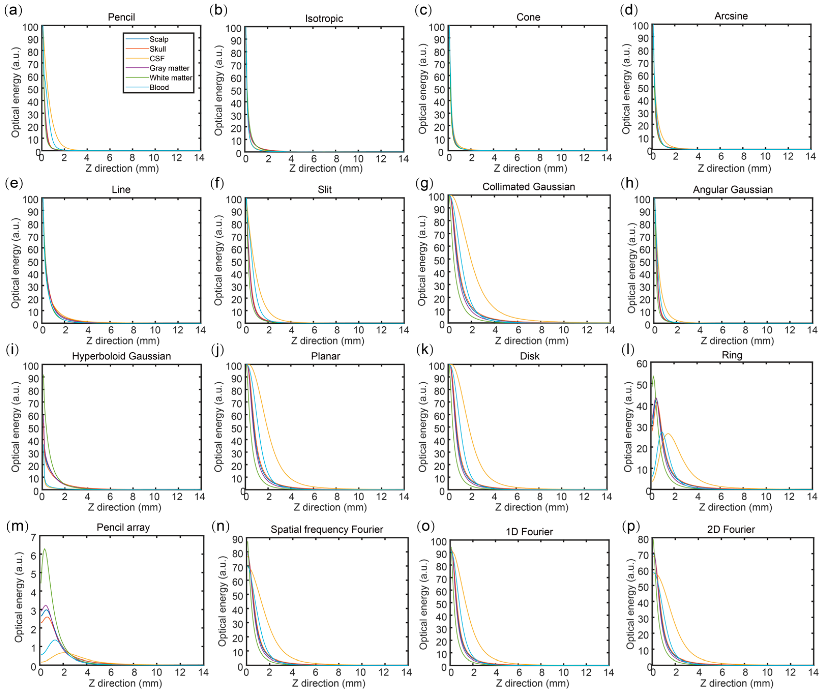 Bioengineering 11 00916 g004