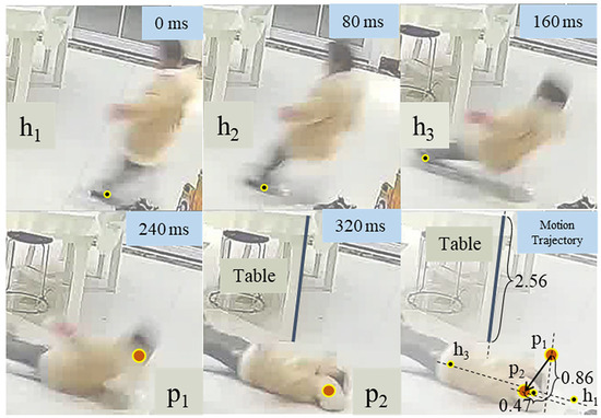 Bioengineering 11 00918 g0a3