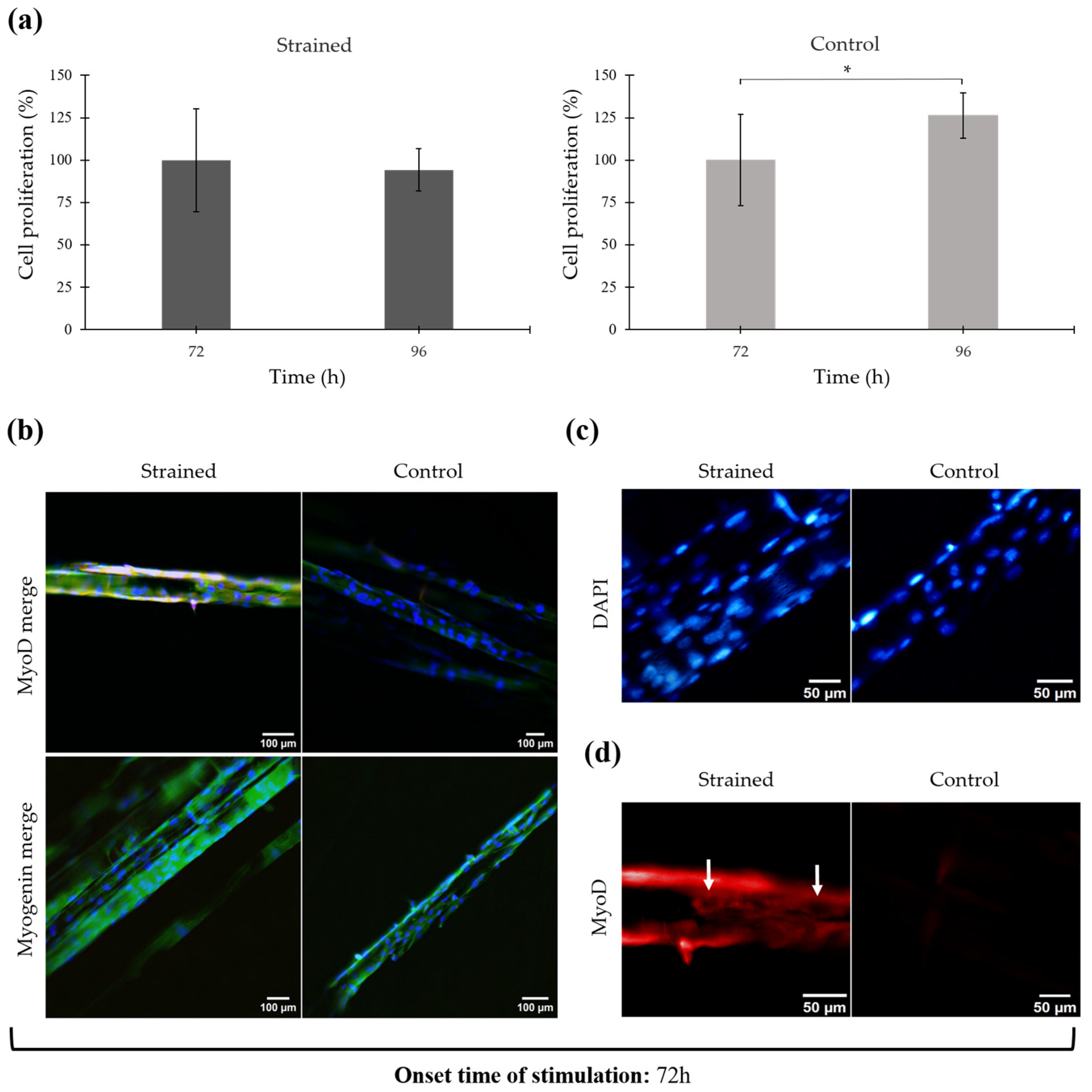 Bioengineering 11 00919 g004