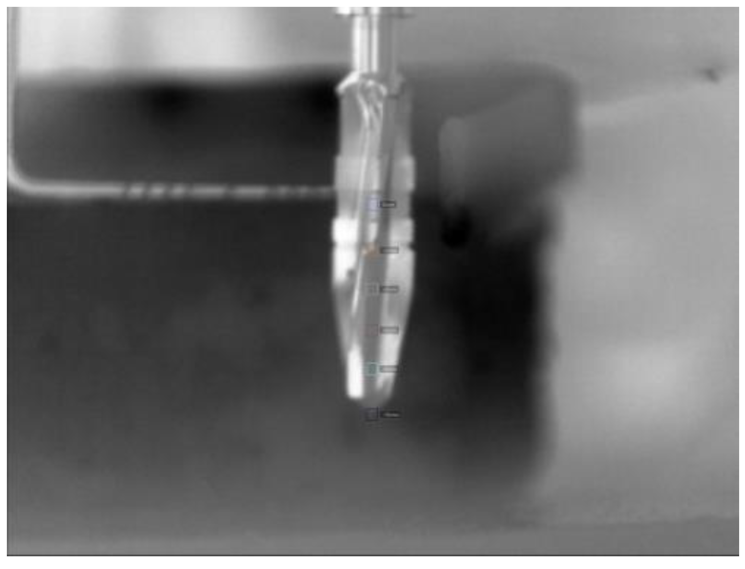 Bioengineering 11 00928 g001