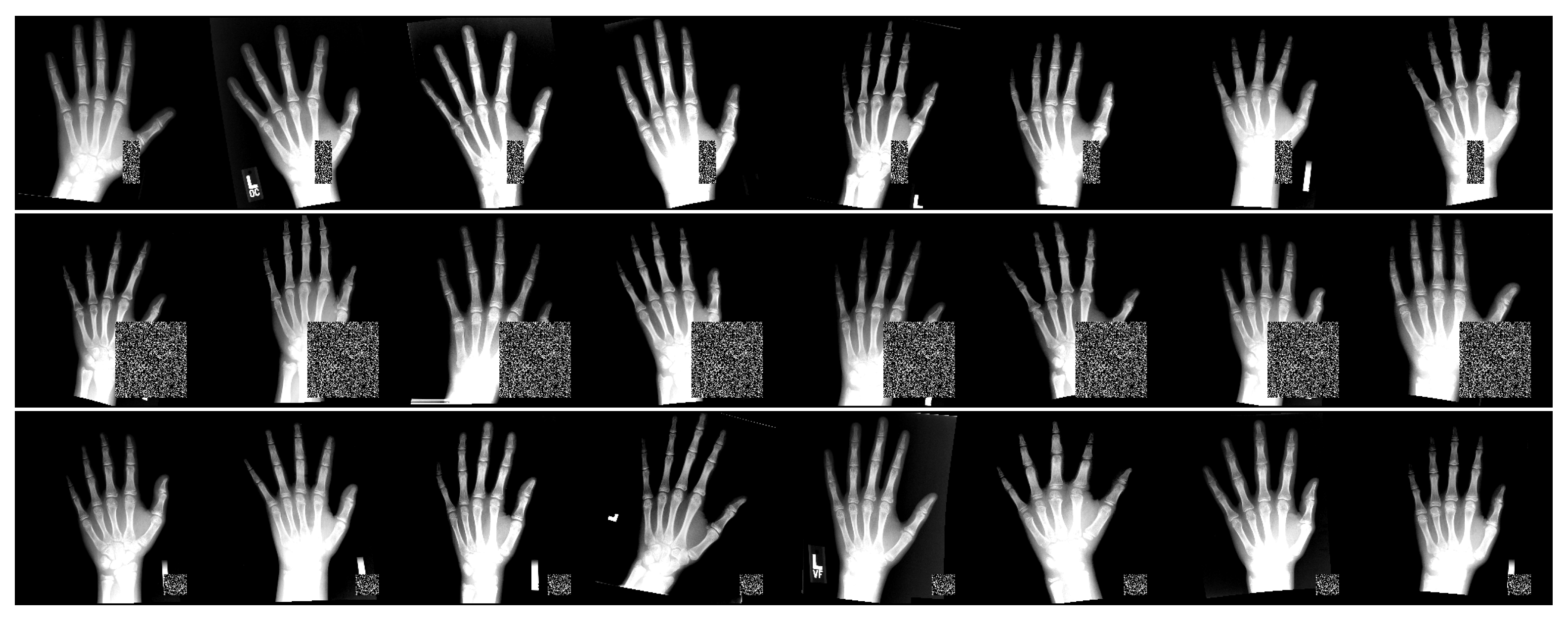 Bioengineering 11 00932 g005