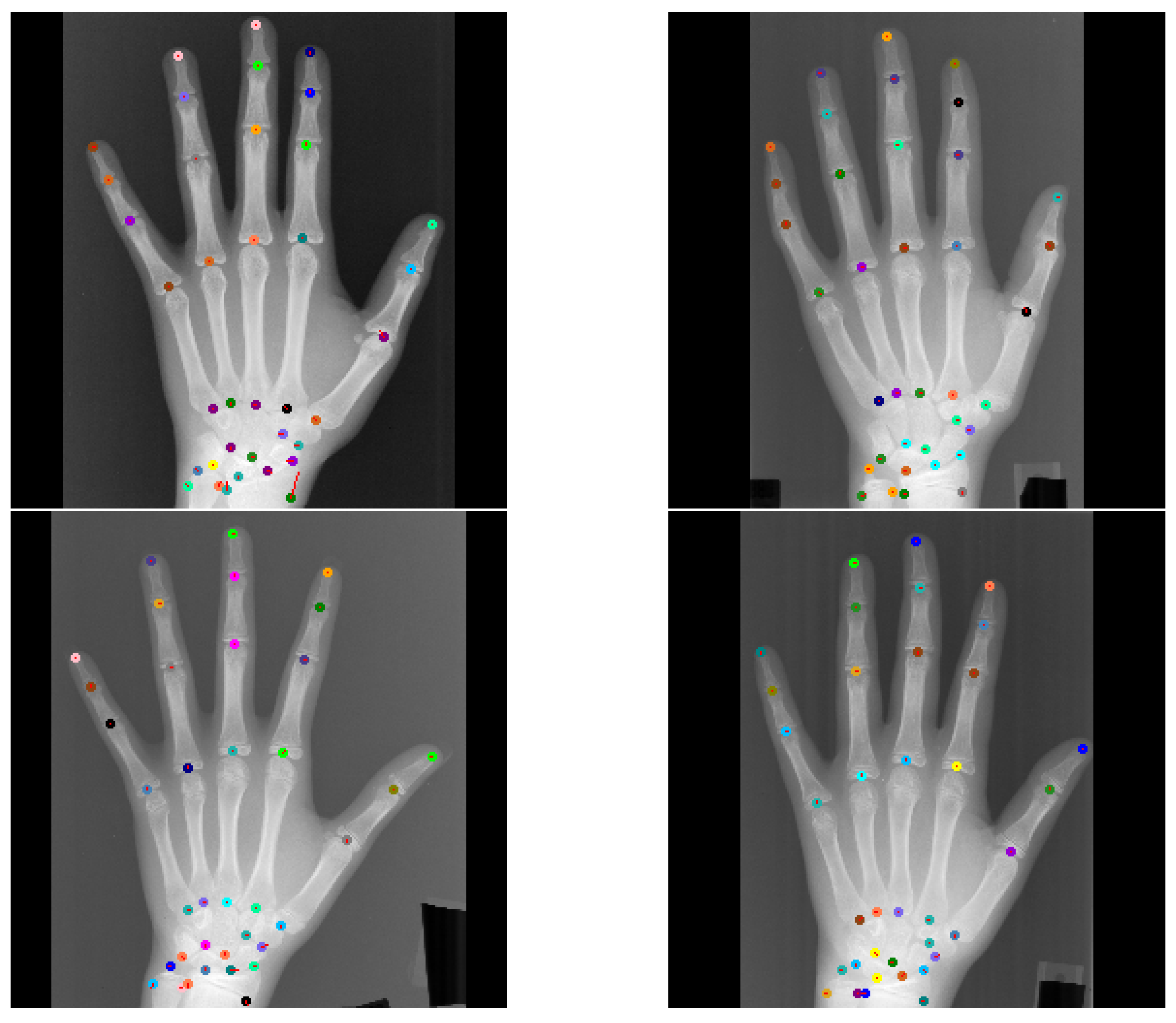 Bioengineering 11 00932 g008