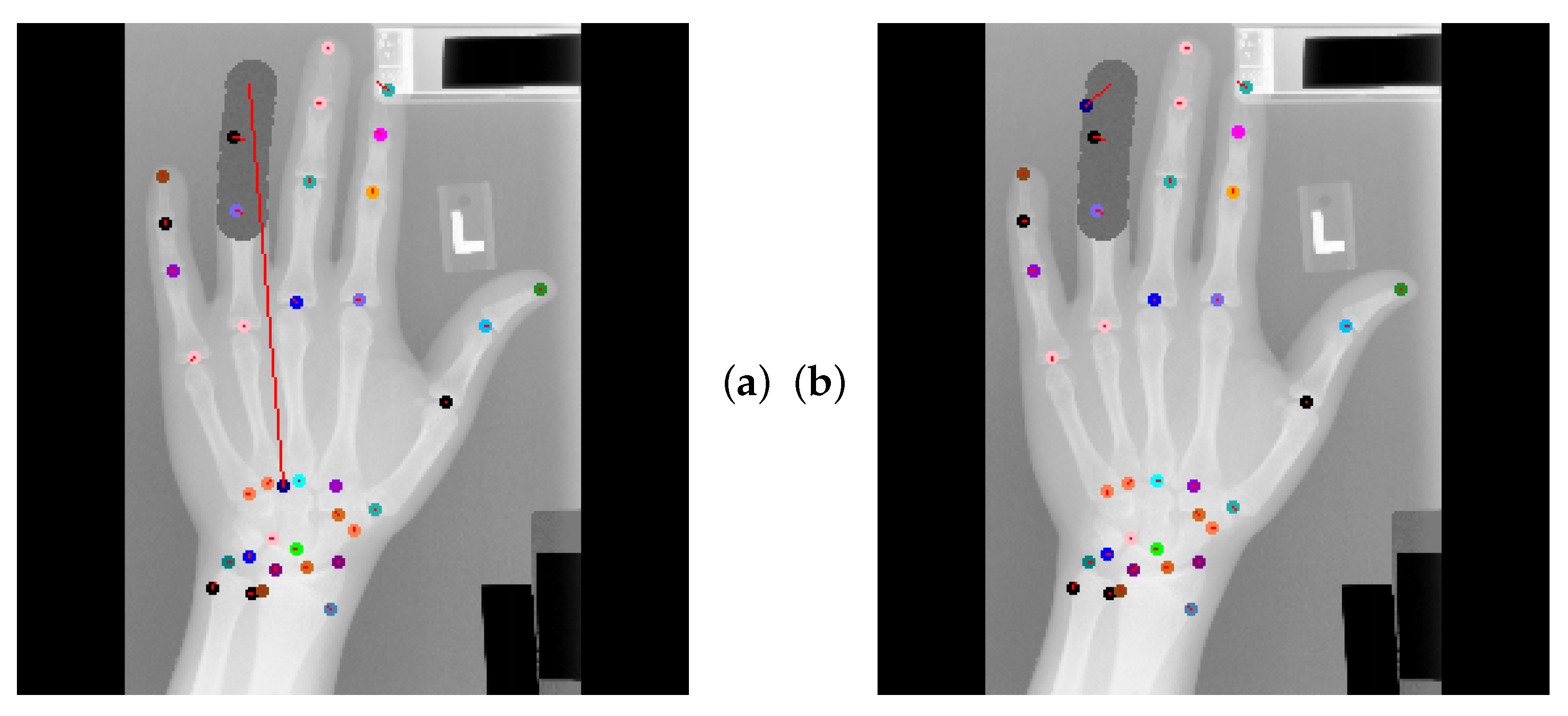 Bioengineering 11 00932 g009a