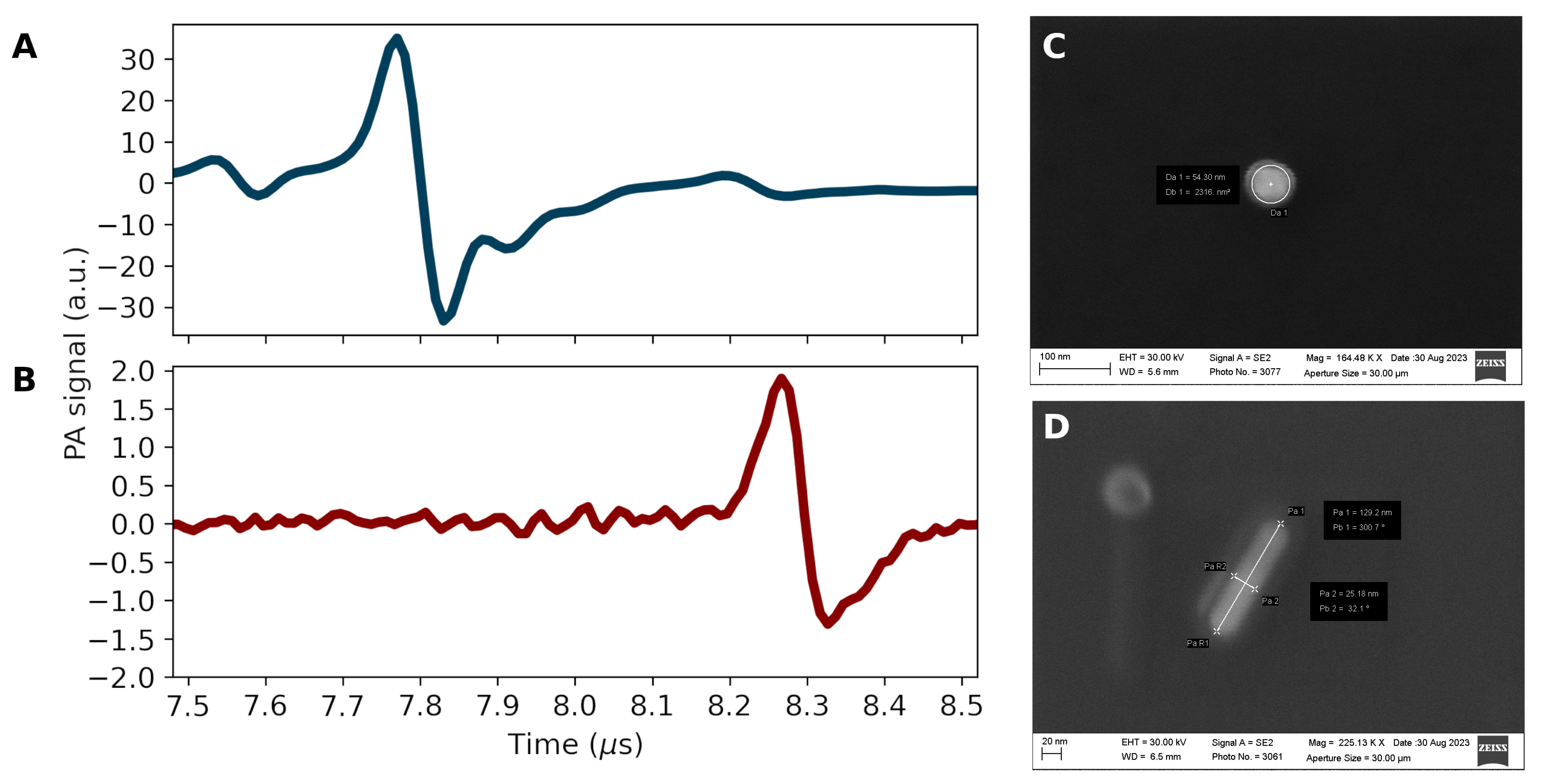 Bioengineering 11 00934 g004
