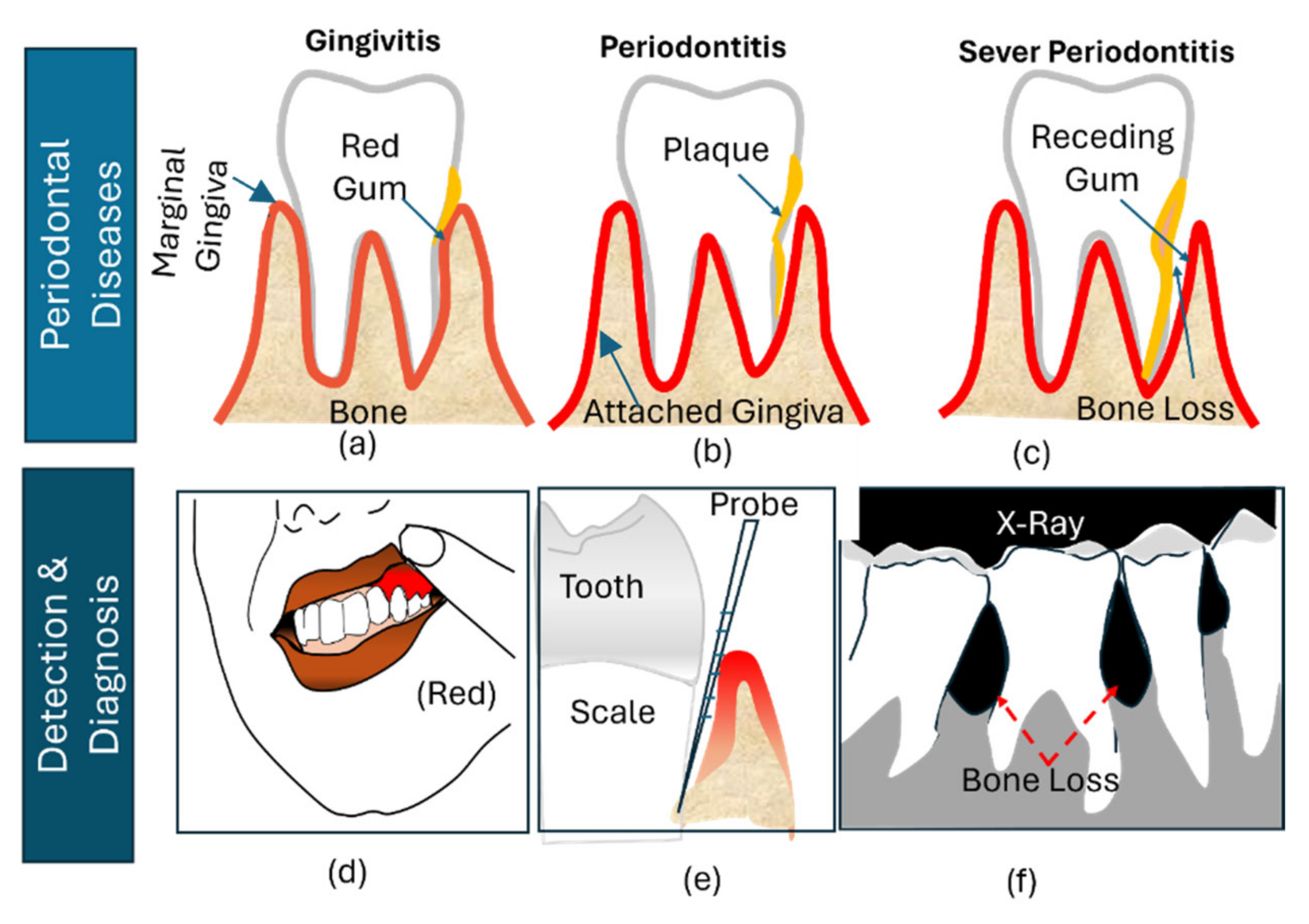 Bioengineering 11 00937 g001