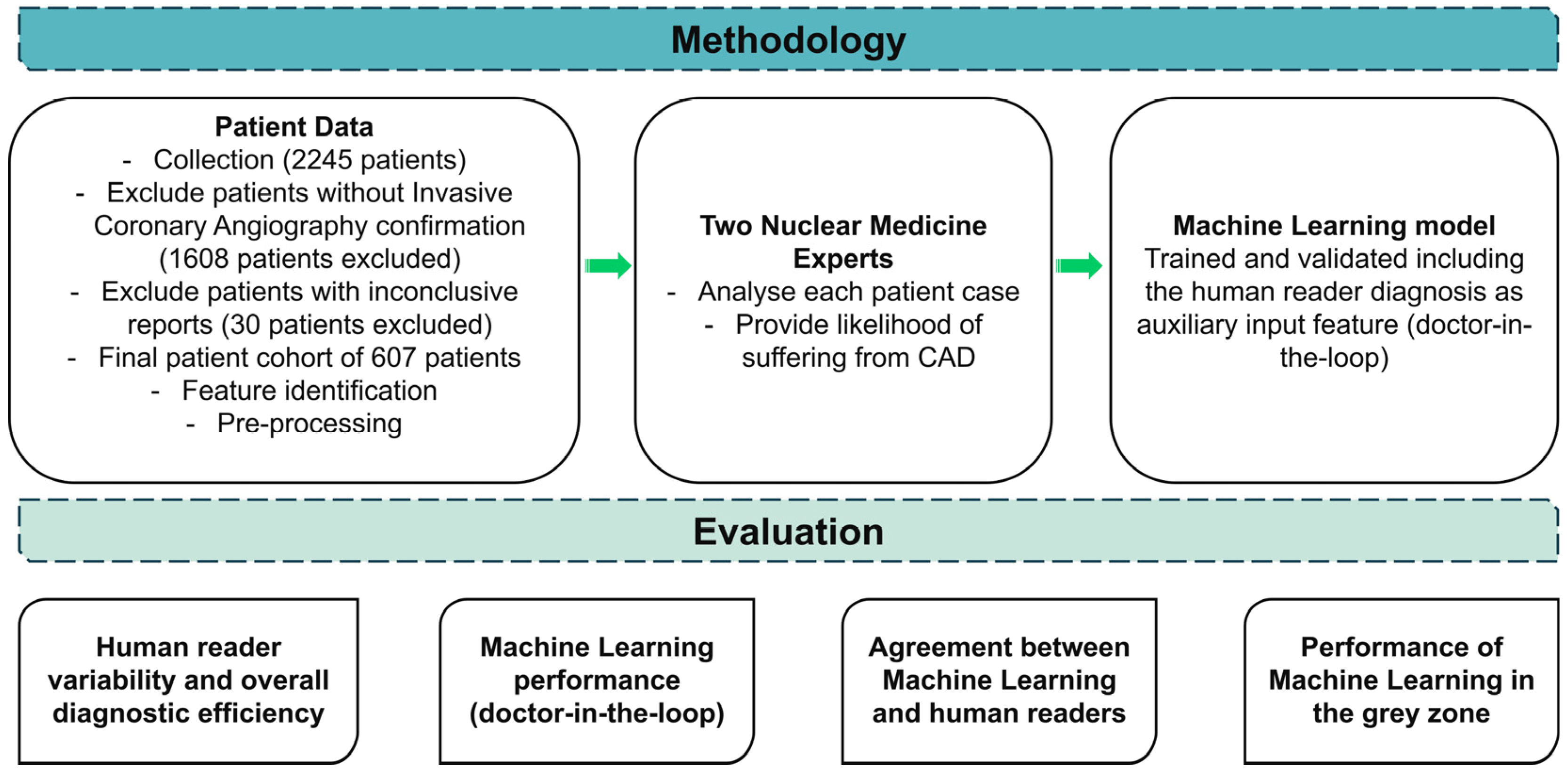 Bioengineering 11 00957 g001