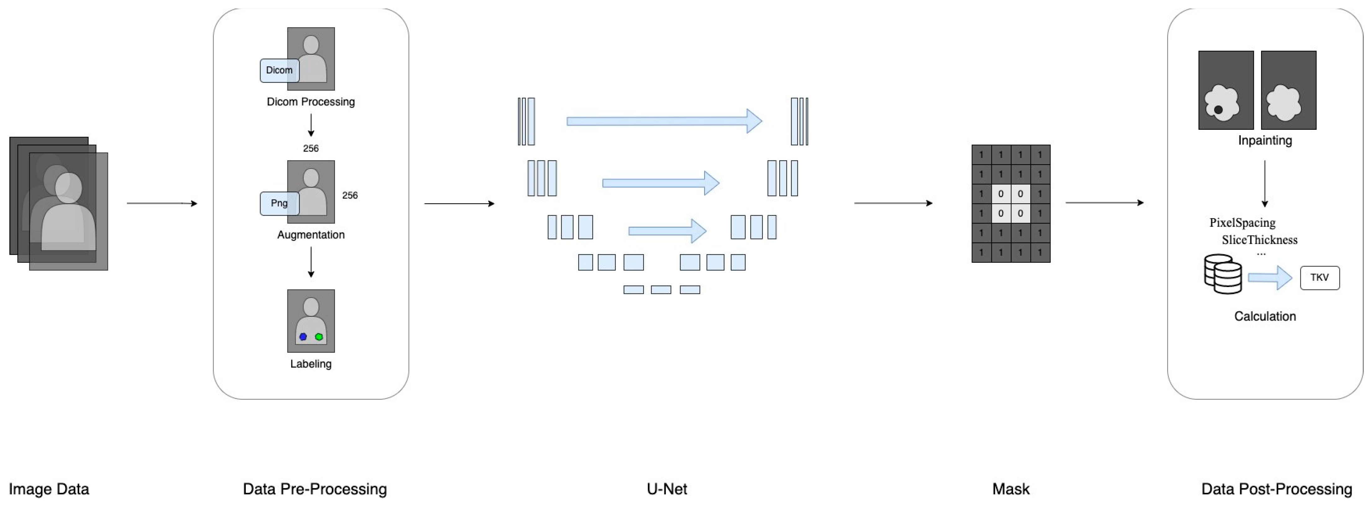 Bioengineering 11 00963 g001