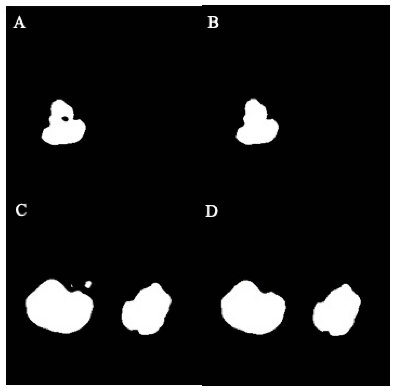 Bioengineering 11 00963 g004