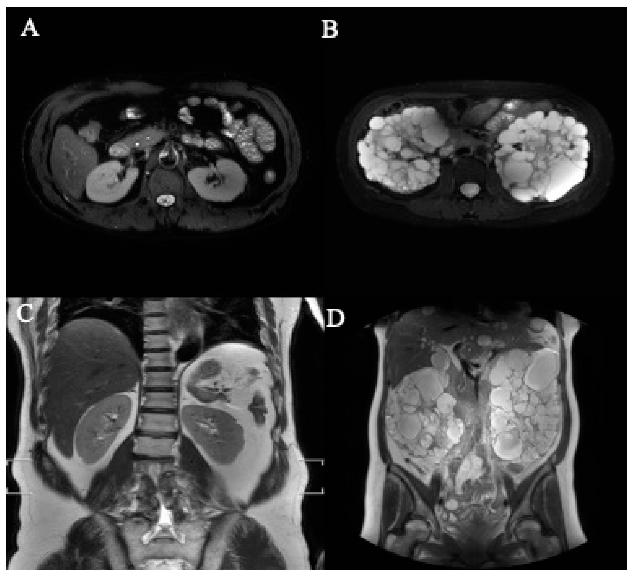 Bioengineering 11 00963 g005