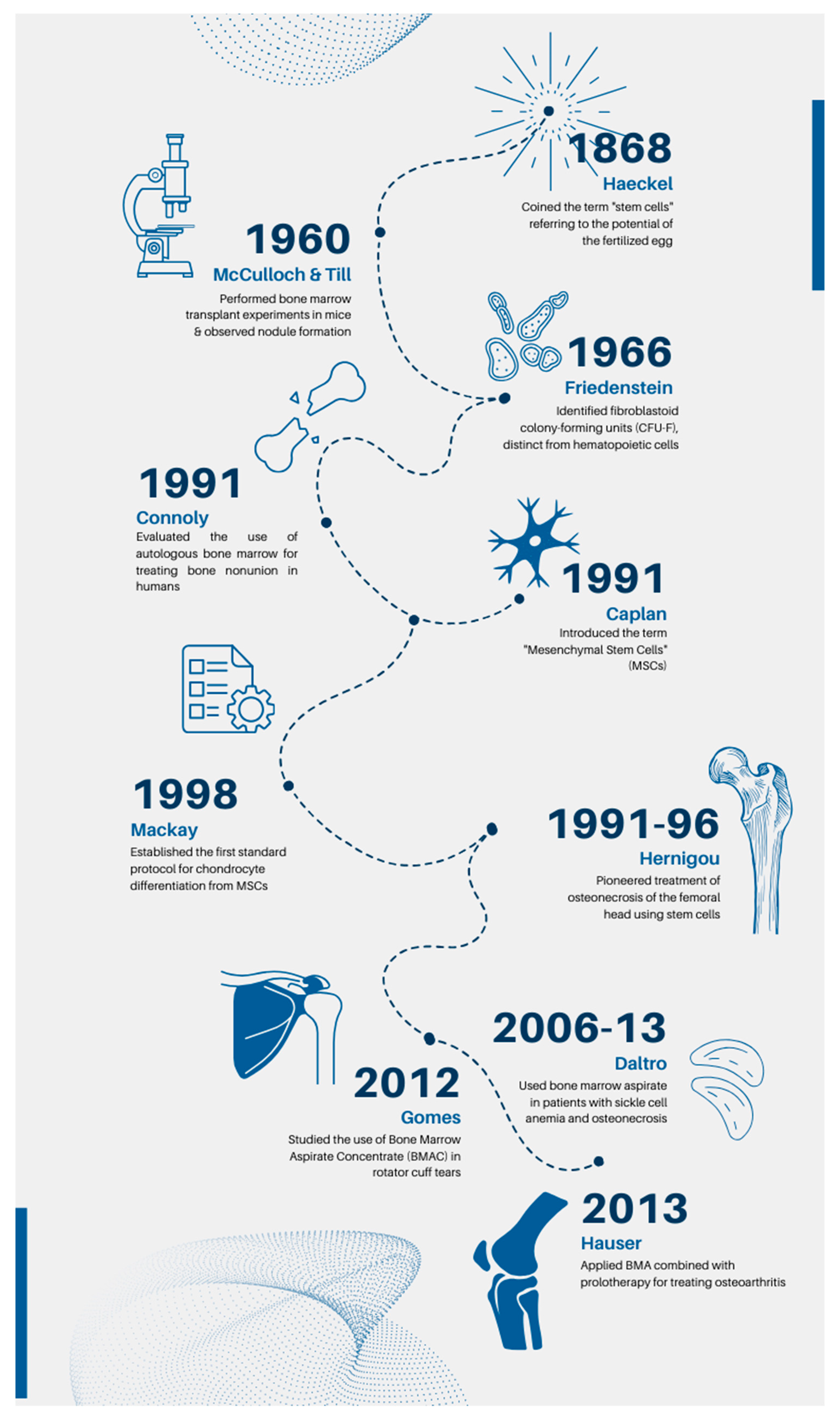 Bioengineering 11 00979 g001