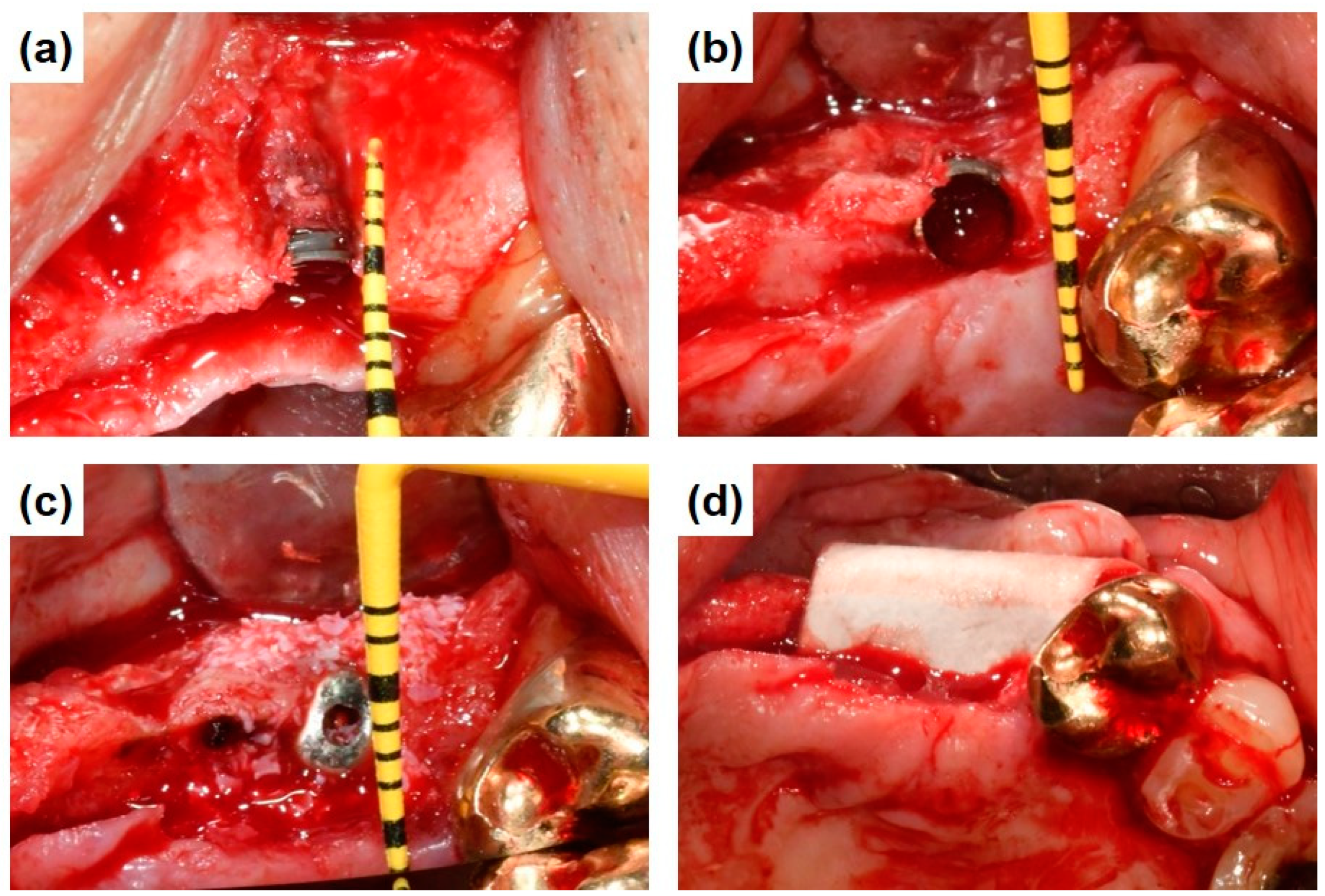 Bioengineering 11 00980 g002