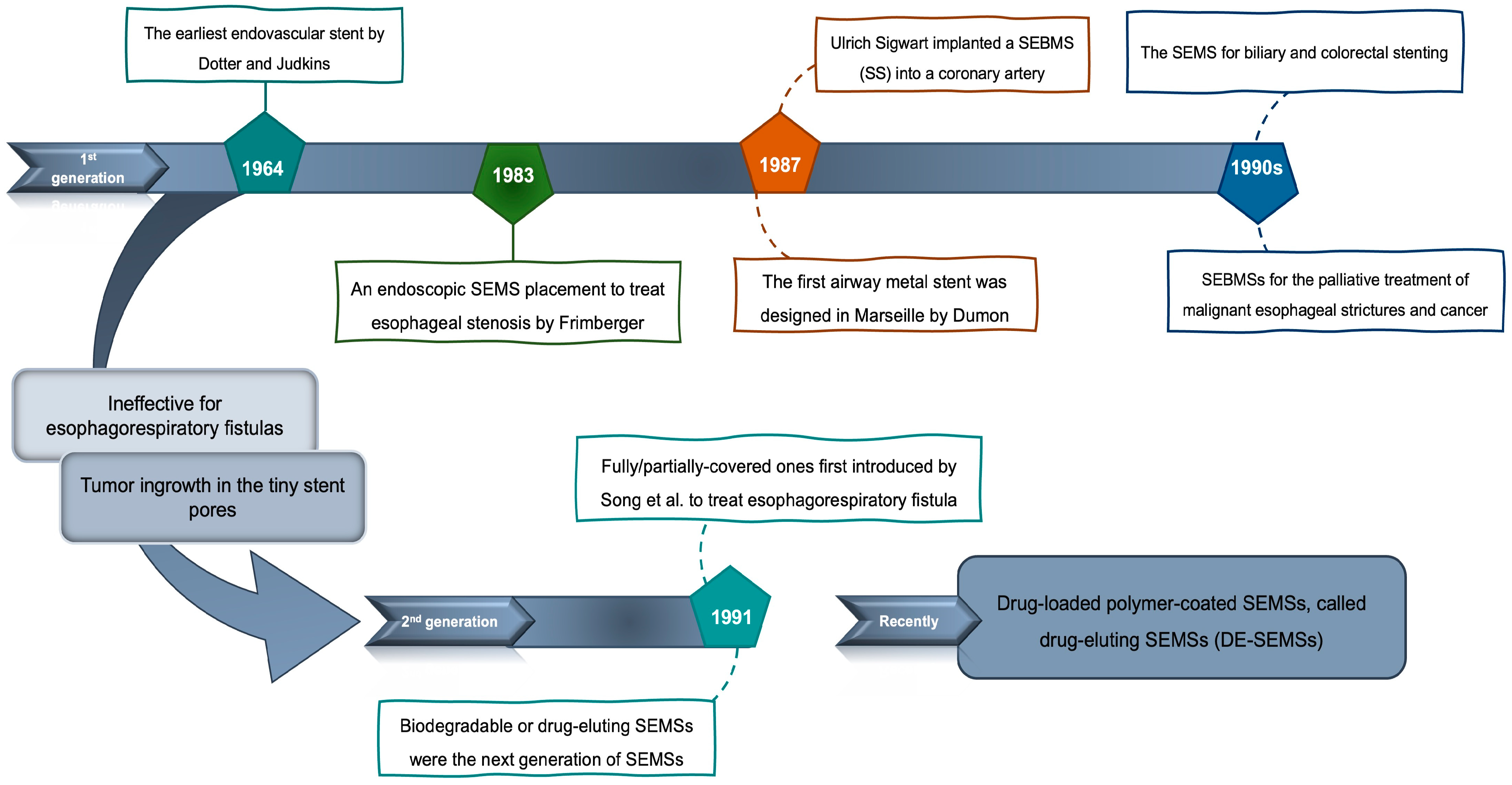 Bioengineering 11 00983 g001 Bioengineering 11 00983 g001