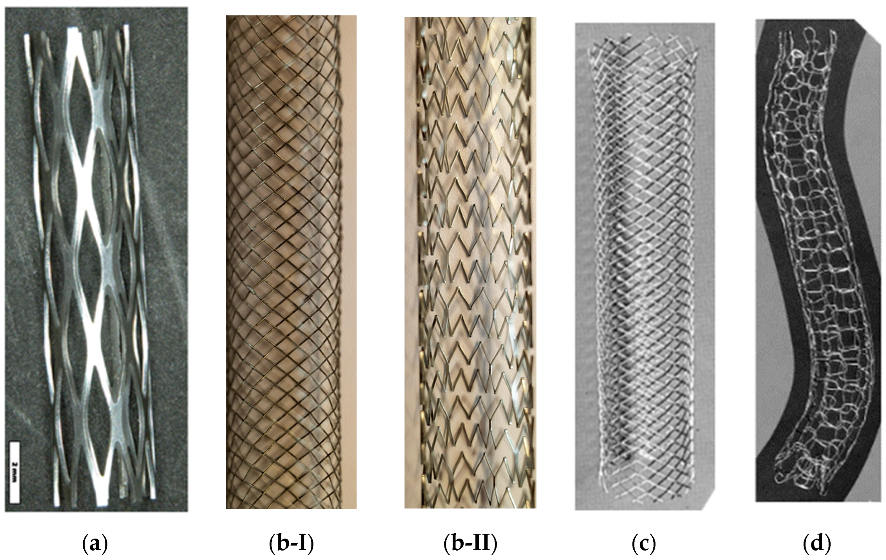 Bioengineering 11 00983 g002 Bioengineering 11 00983 g002