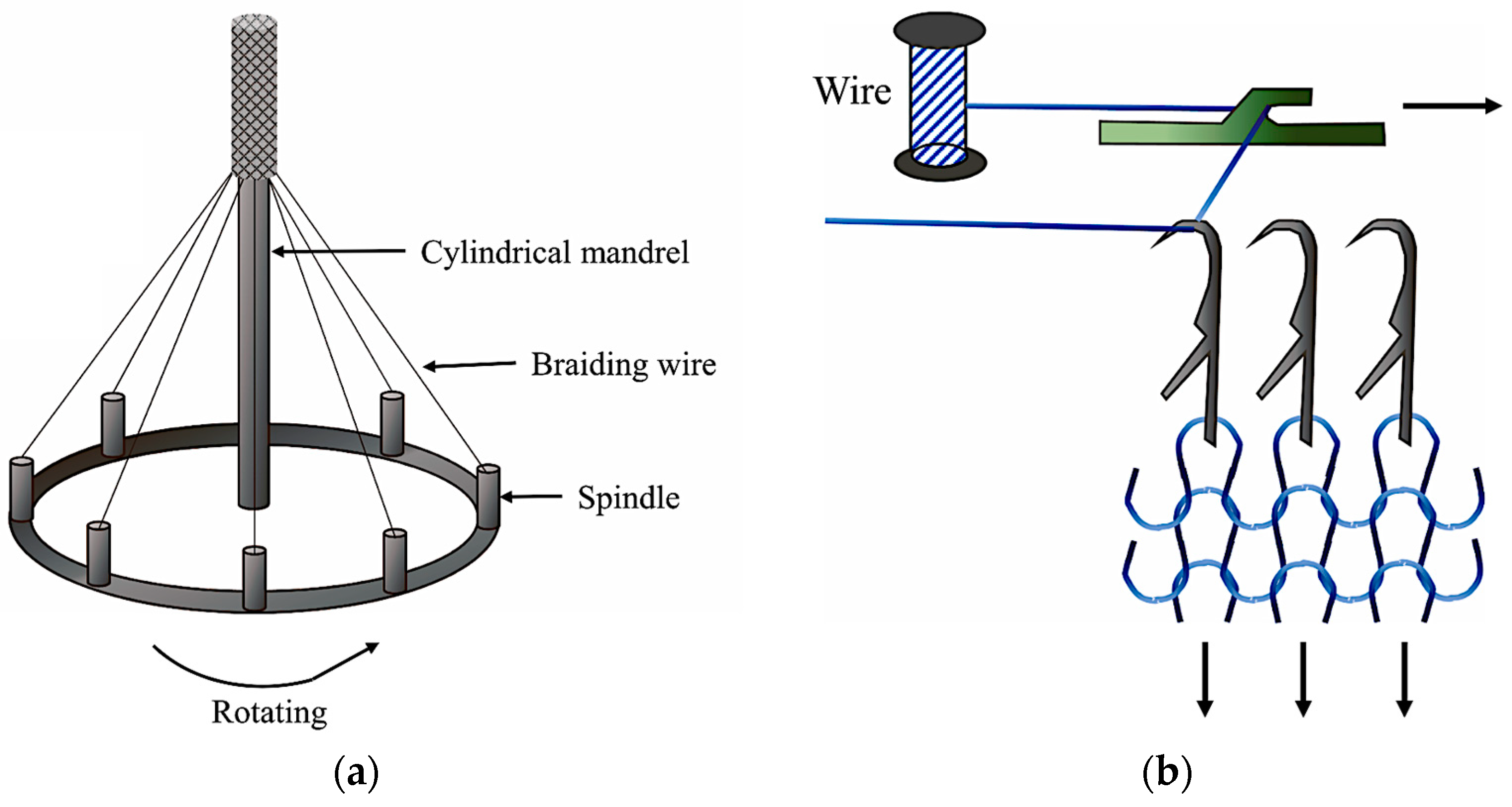 Bioengineering 11 00983 g007 Bioengineering 11 00983 g007