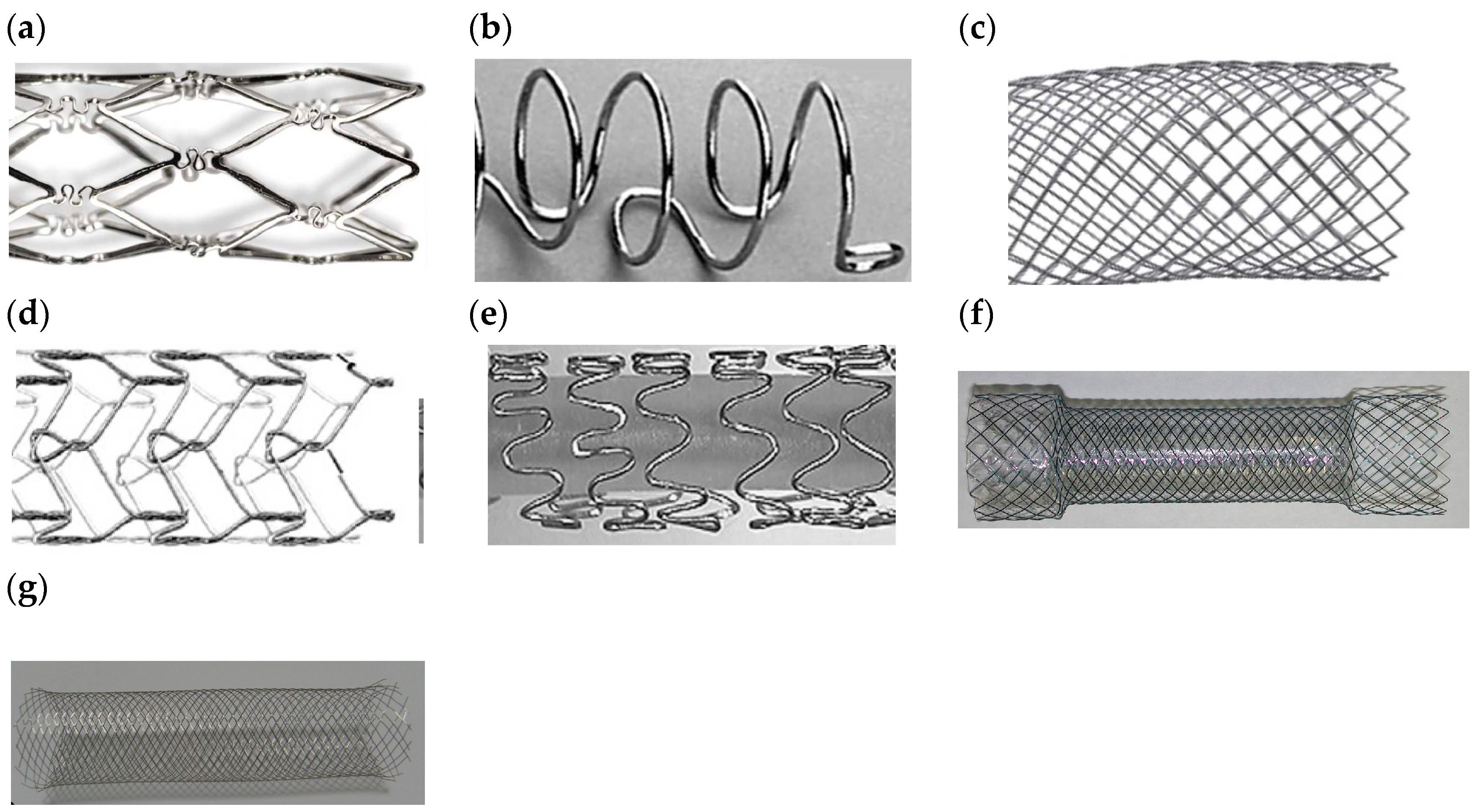 Bioengineering 11 00983 g009 Bioengineering 11 00983 g009