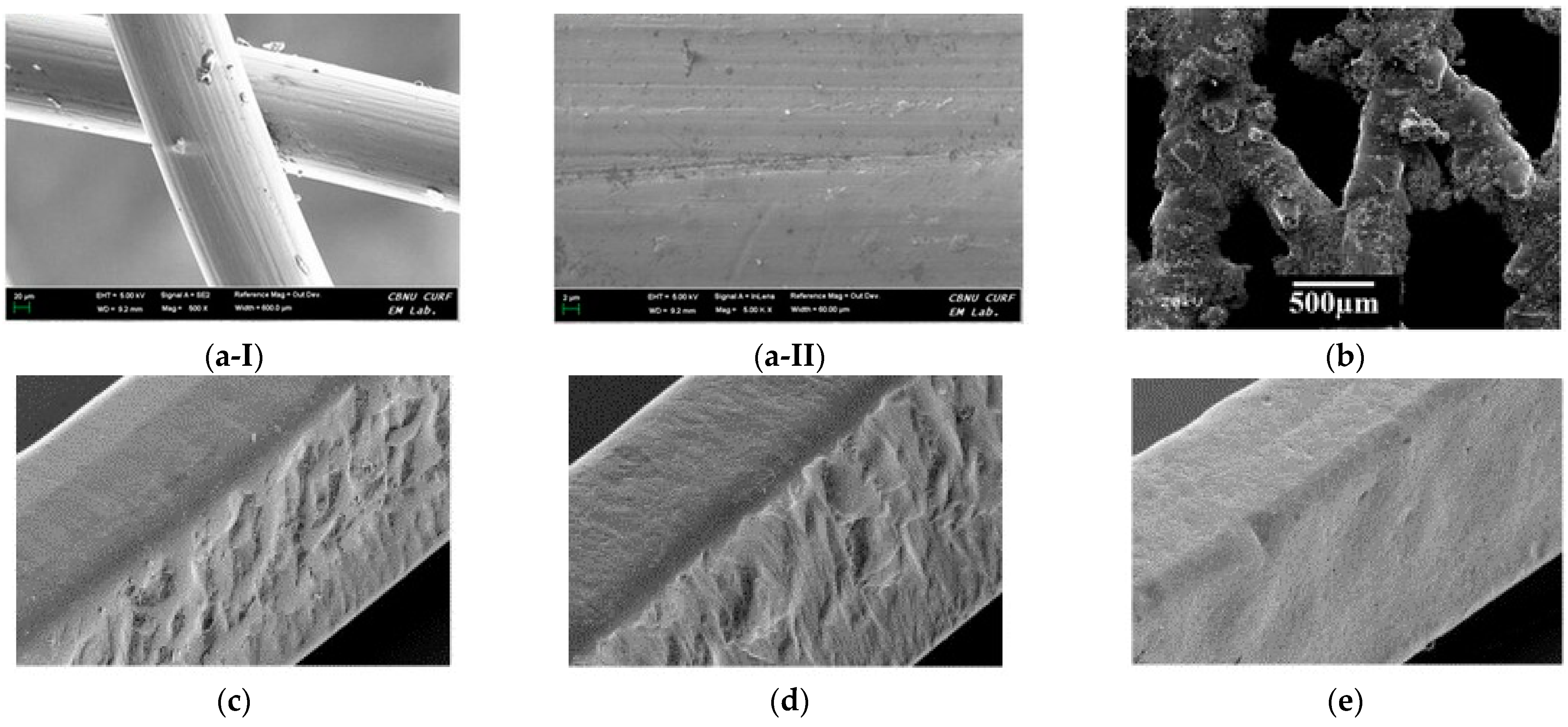 Bioengineering 11 00983 g010 Bioengineering 11 00983 g010