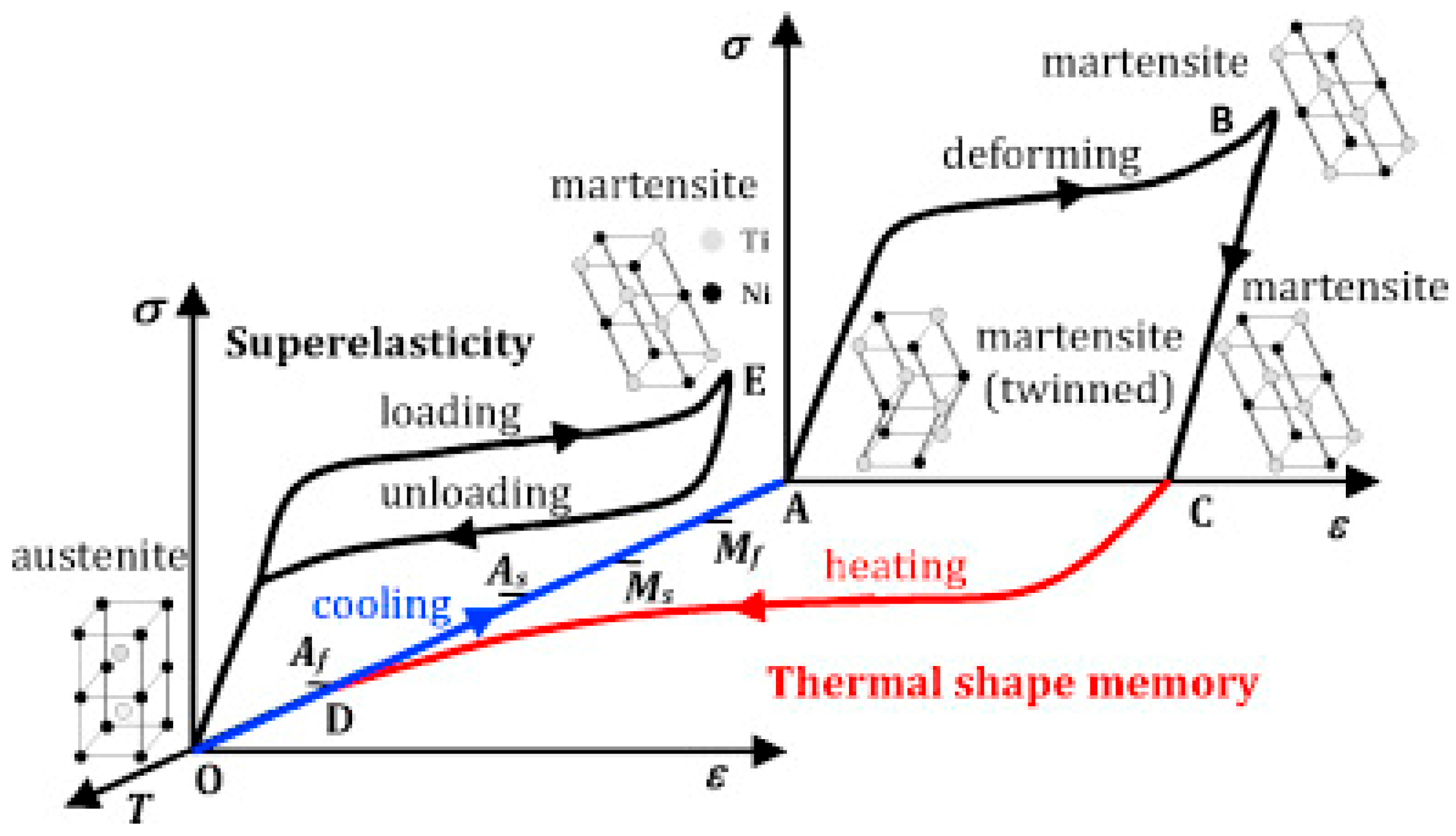 Bioengineering 11 00983 g012 Bioengineering 11 00983 g012