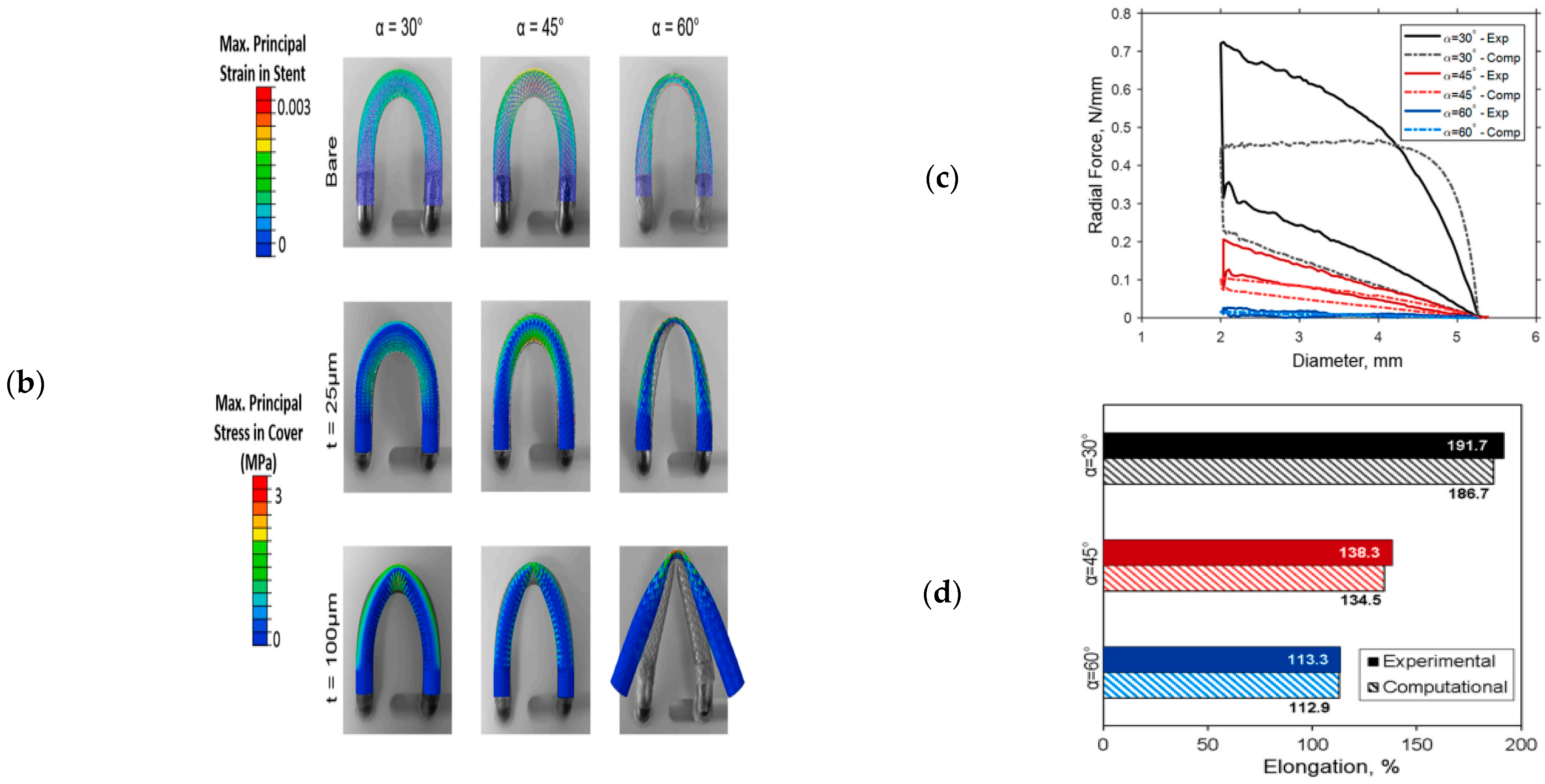 Bioengineering 11 00983 g017b Bioengineering 11 00983 g017b