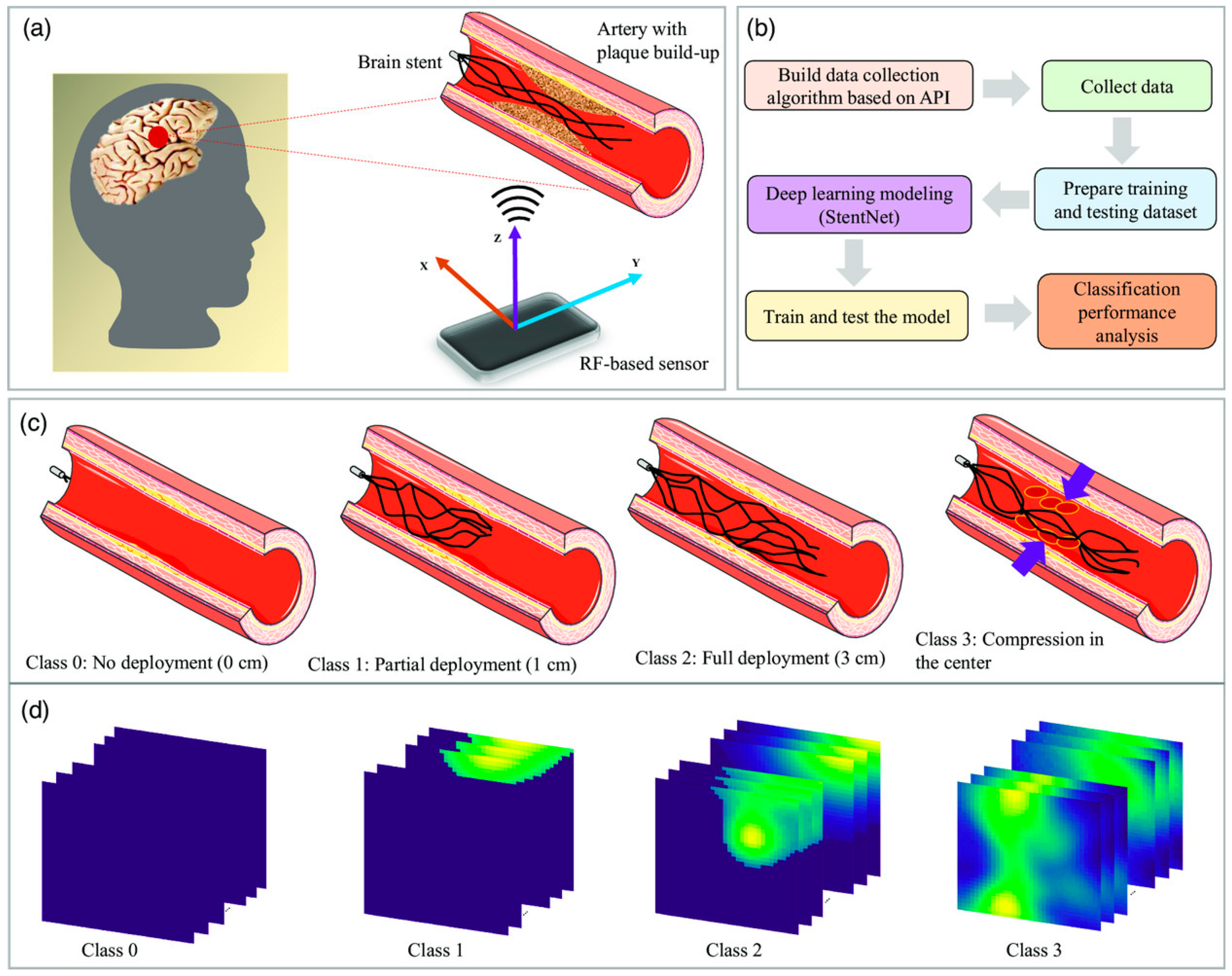 Bioengineering 11 00983 g018 Bioengineering 11 00983 g018
