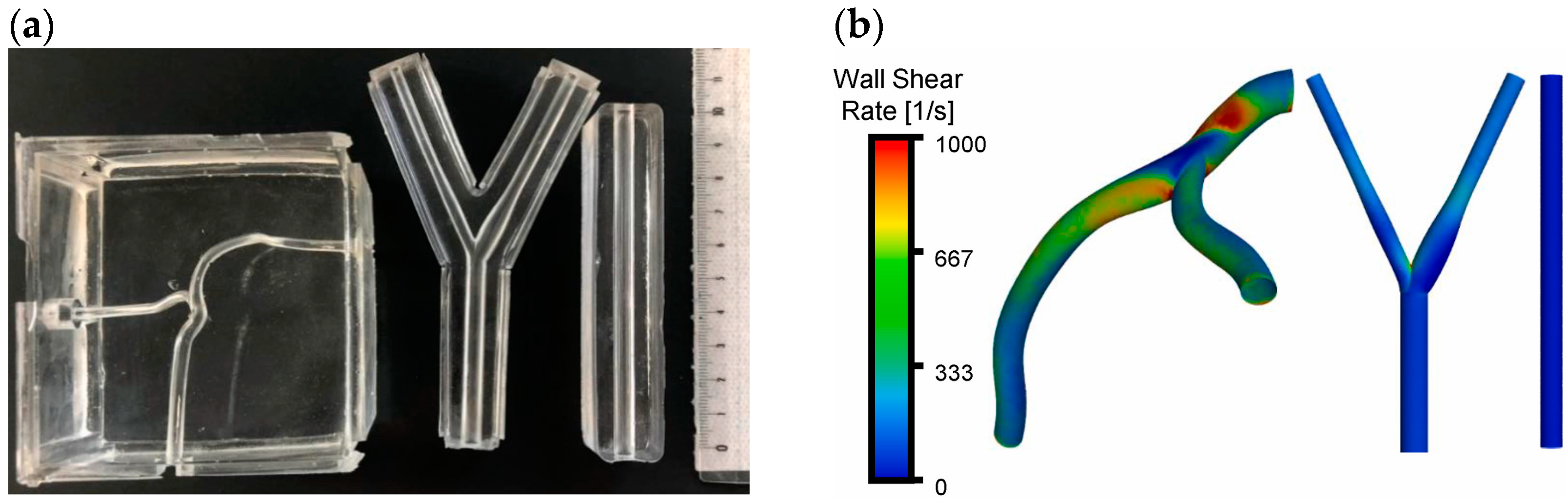 Bioengineering 11 00983 g019 Bioengineering 11 00983 g019