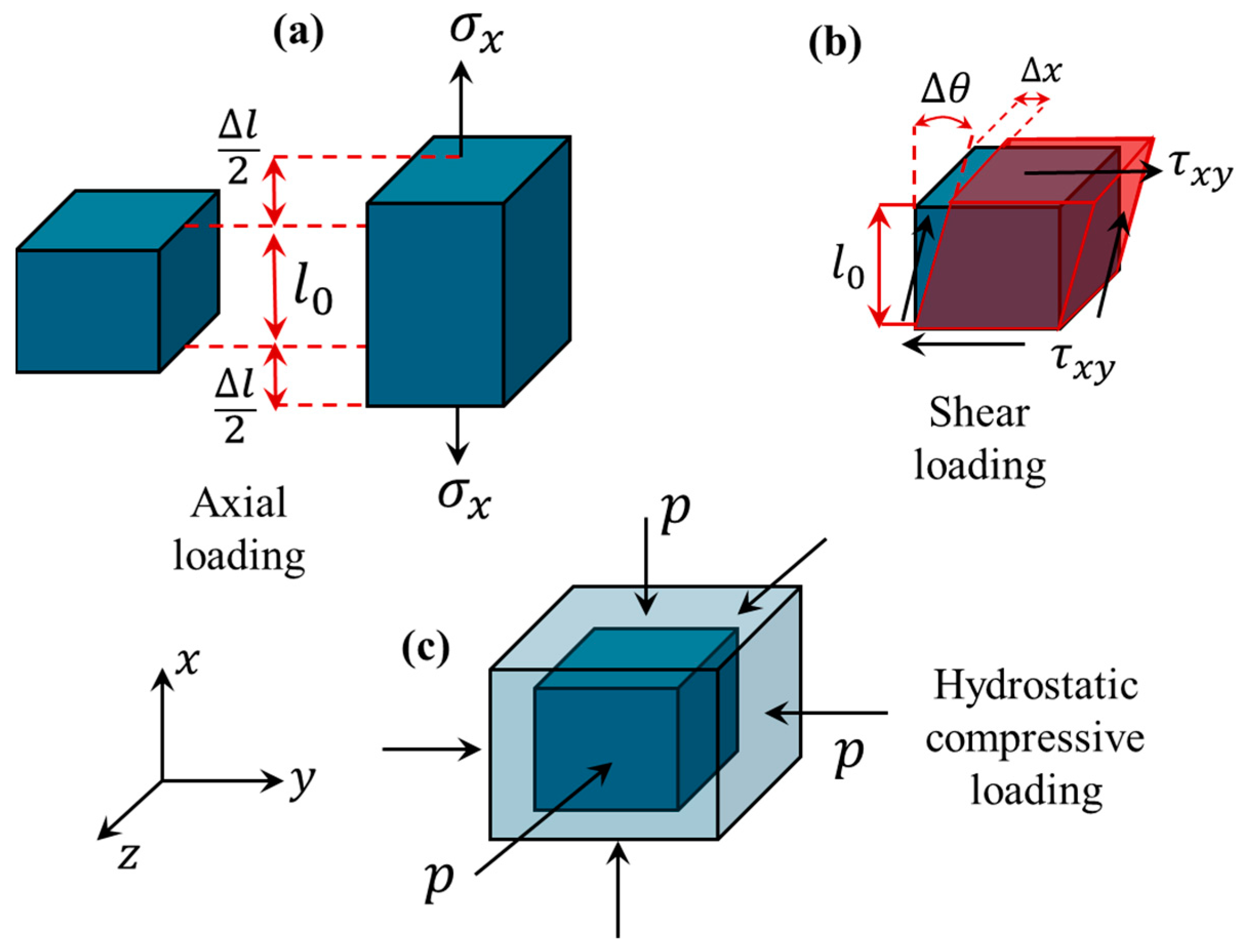 Bioengineering 11 00991 g001