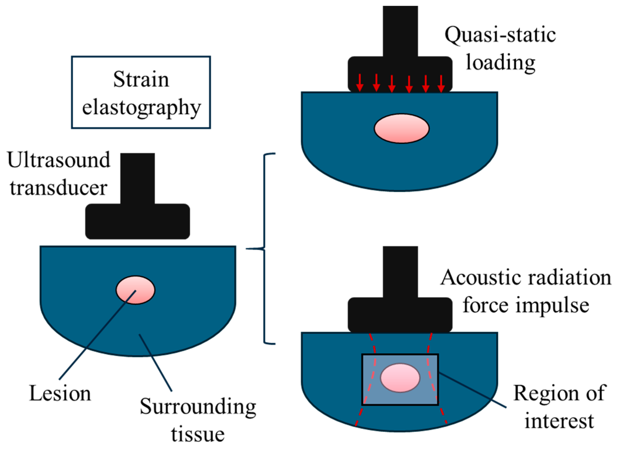 Bioengineering 11 00991 g002