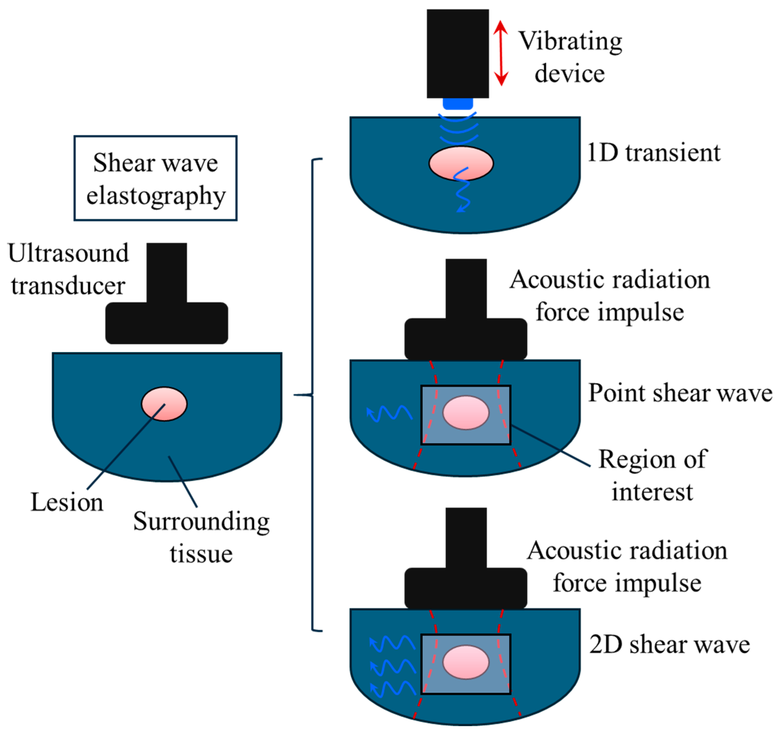 Bioengineering 11 00991 g003