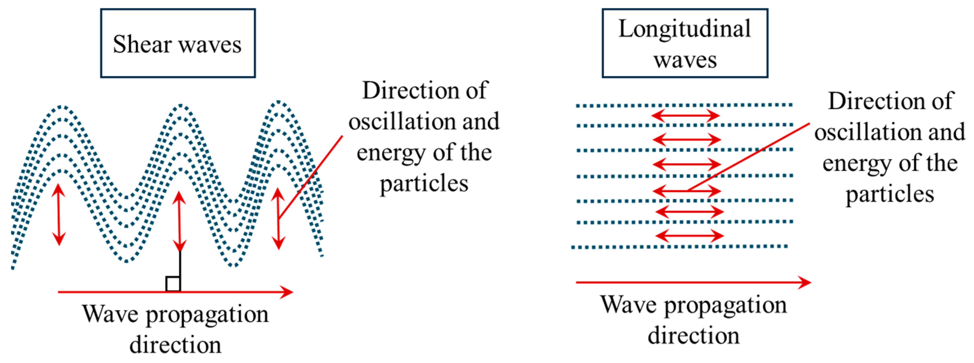 Bioengineering 11 00991 g004