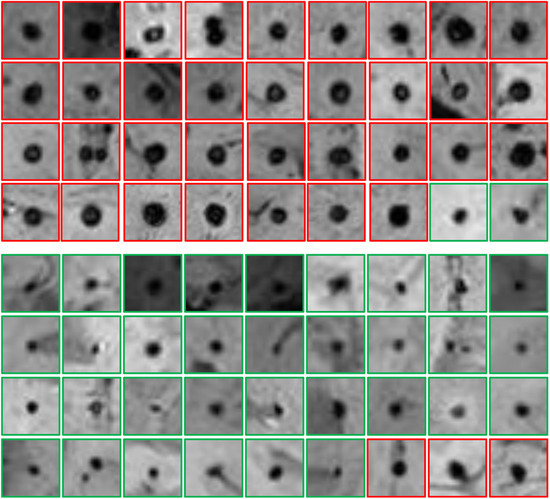 Bioengineering 11 00993 g0a2