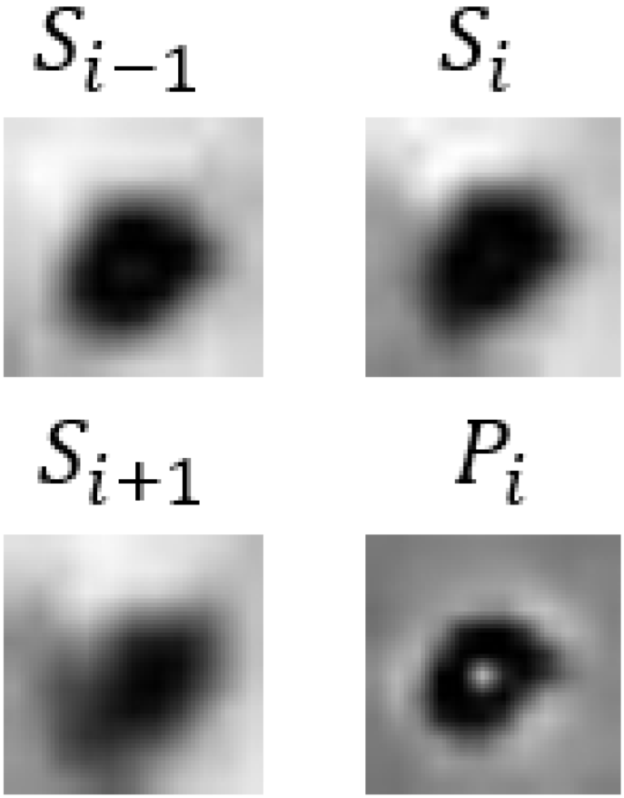 Bioengineering 11 00993 i001