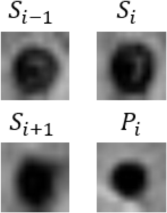 Bioengineering 11 00993 i002