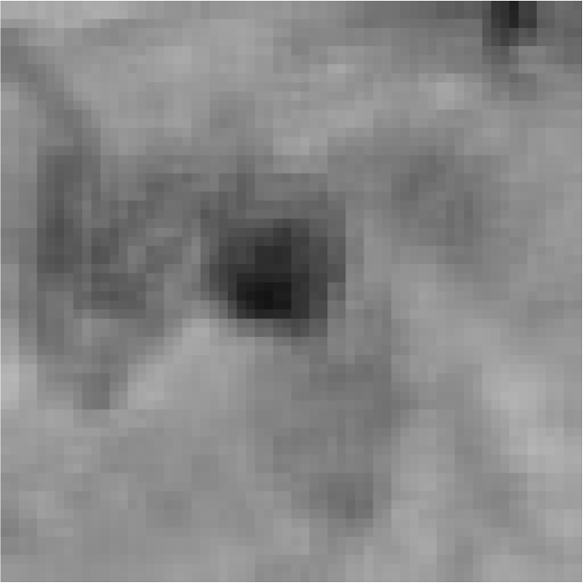 Bioengineering 11 00993 i010