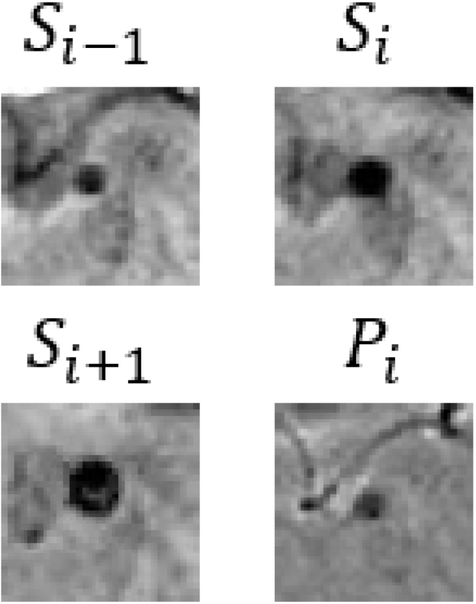 Bioengineering 11 00993 i011