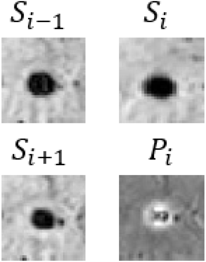 Bioengineering 11 00993 i013