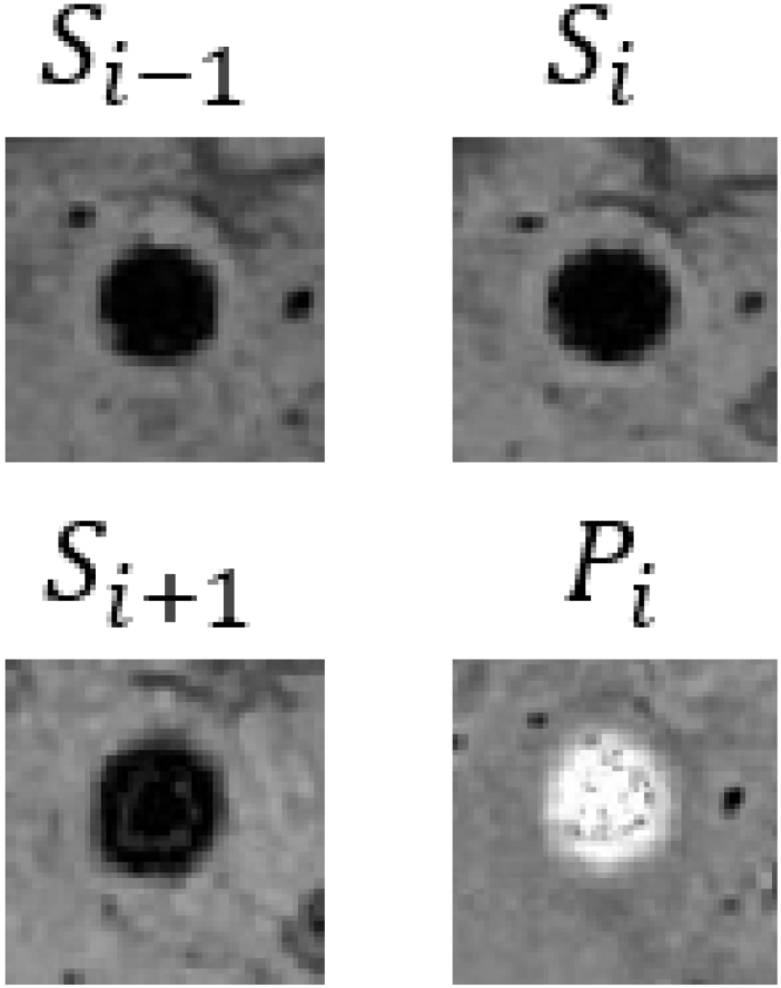 Bioengineering 11 00993 i015