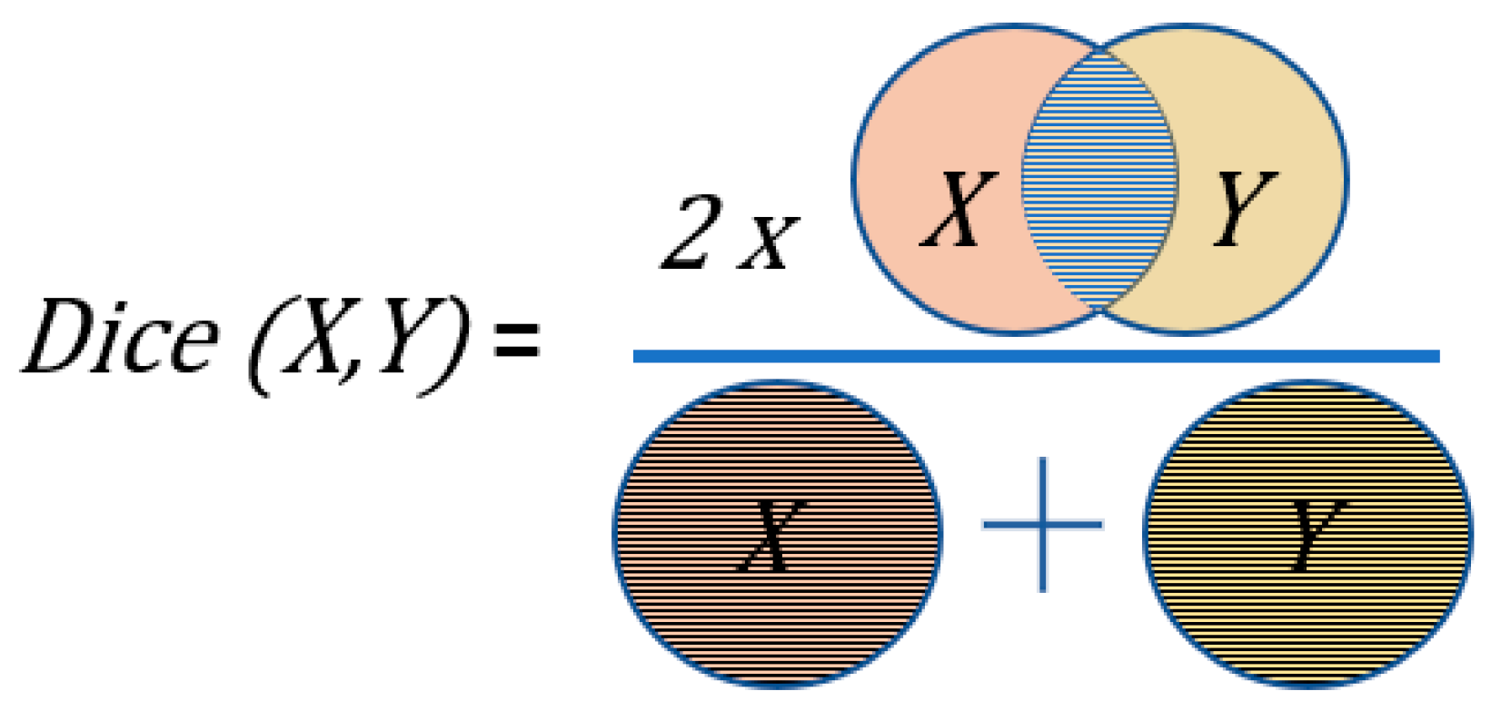 Bioengineering 11 00994 g002