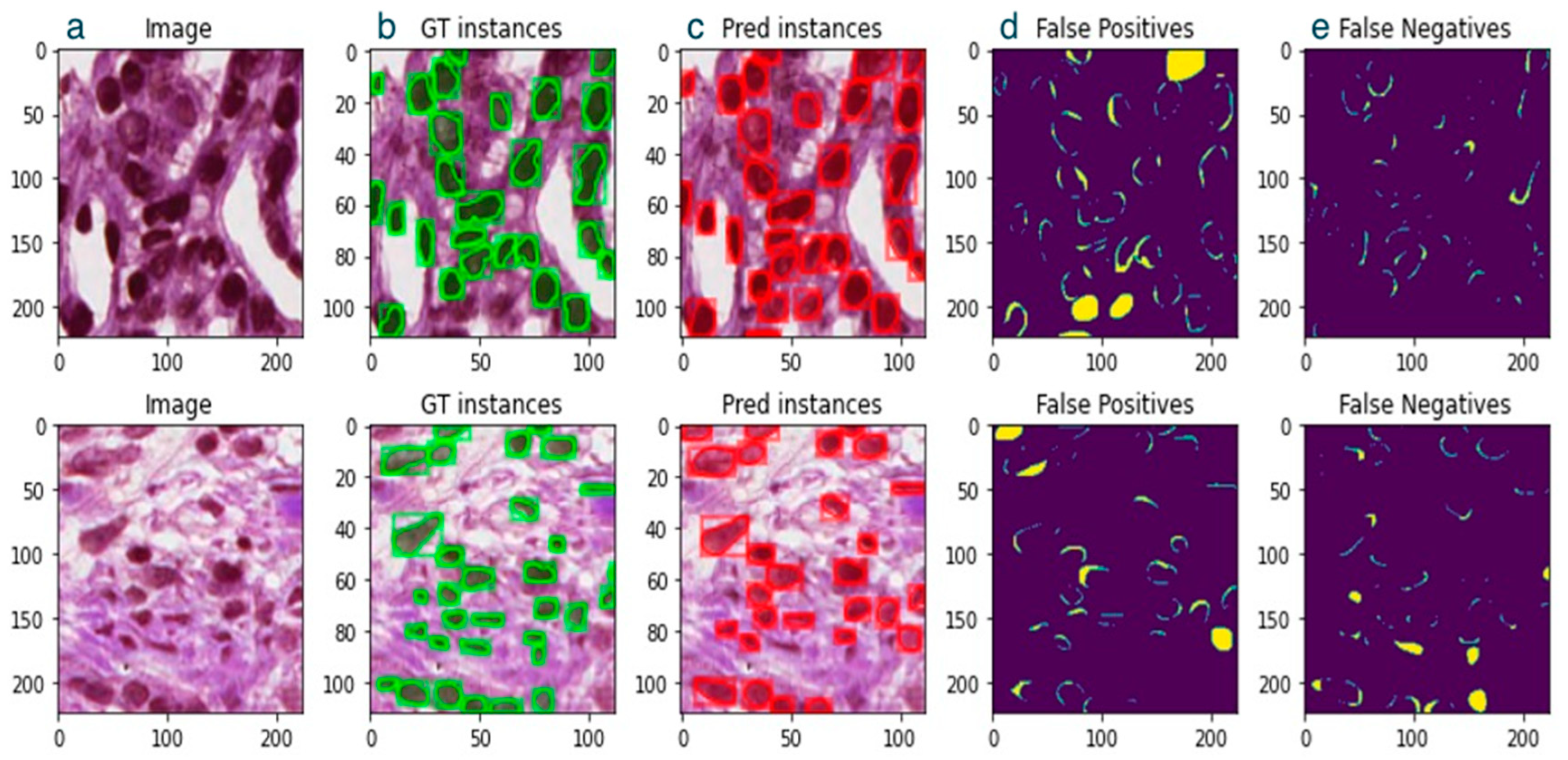 Bioengineering 11 00994 g003
