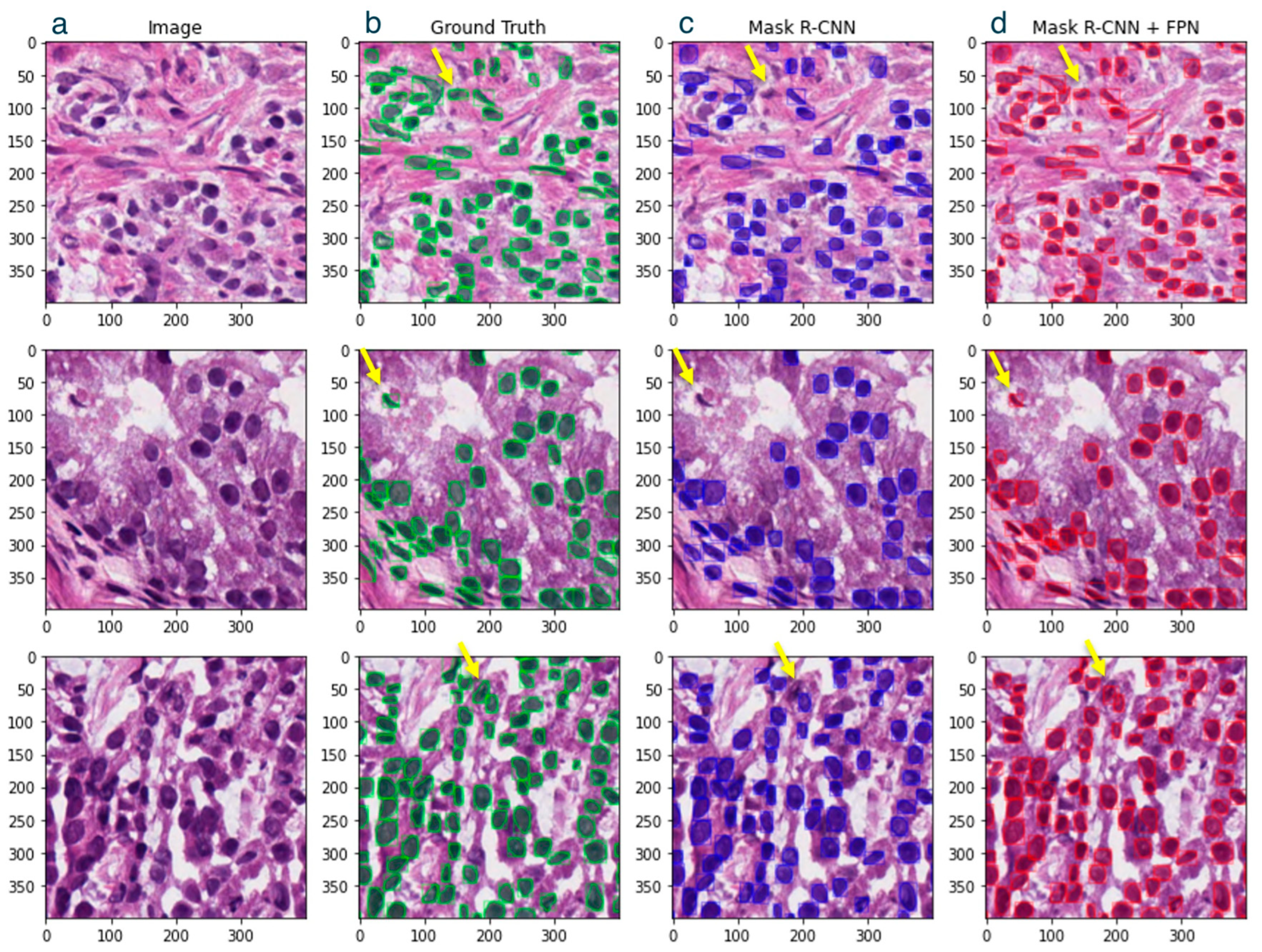 Bioengineering 11 00994 g005