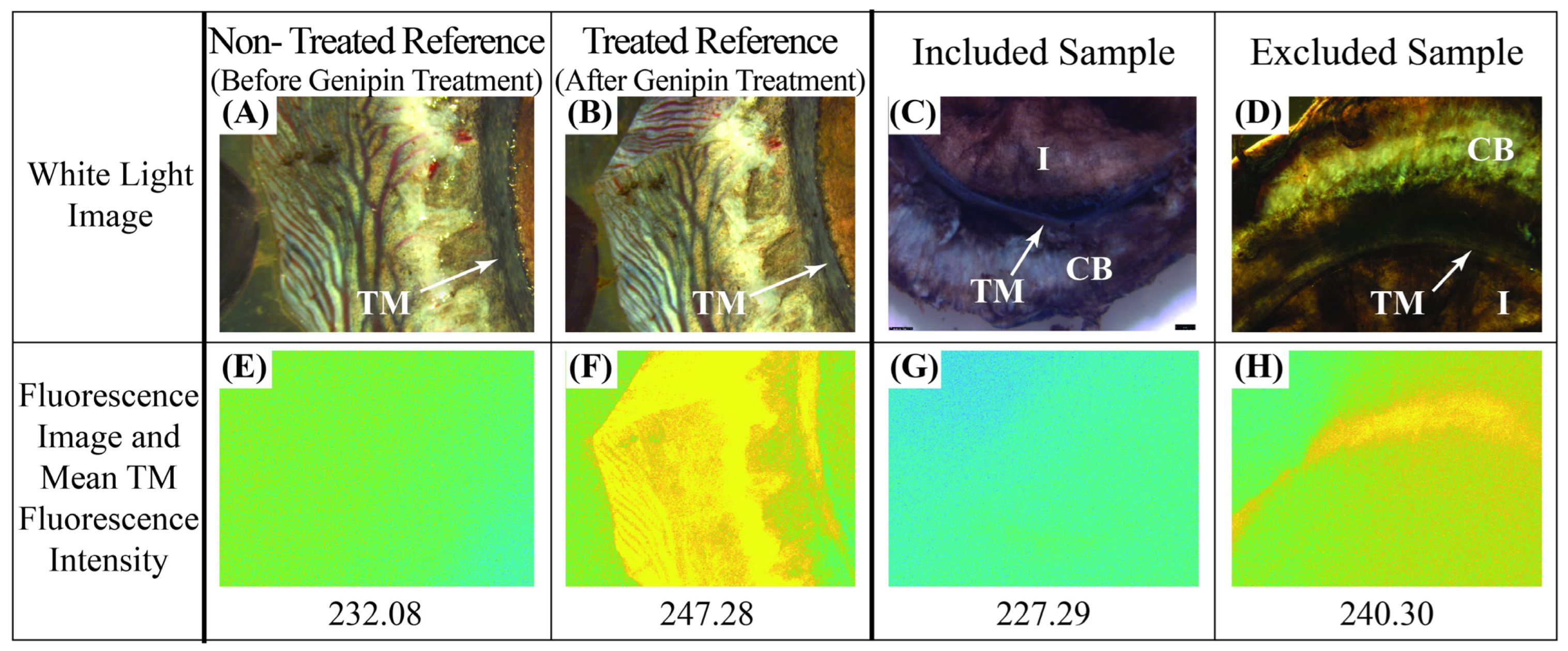 Bioengineering 11 00996 g005