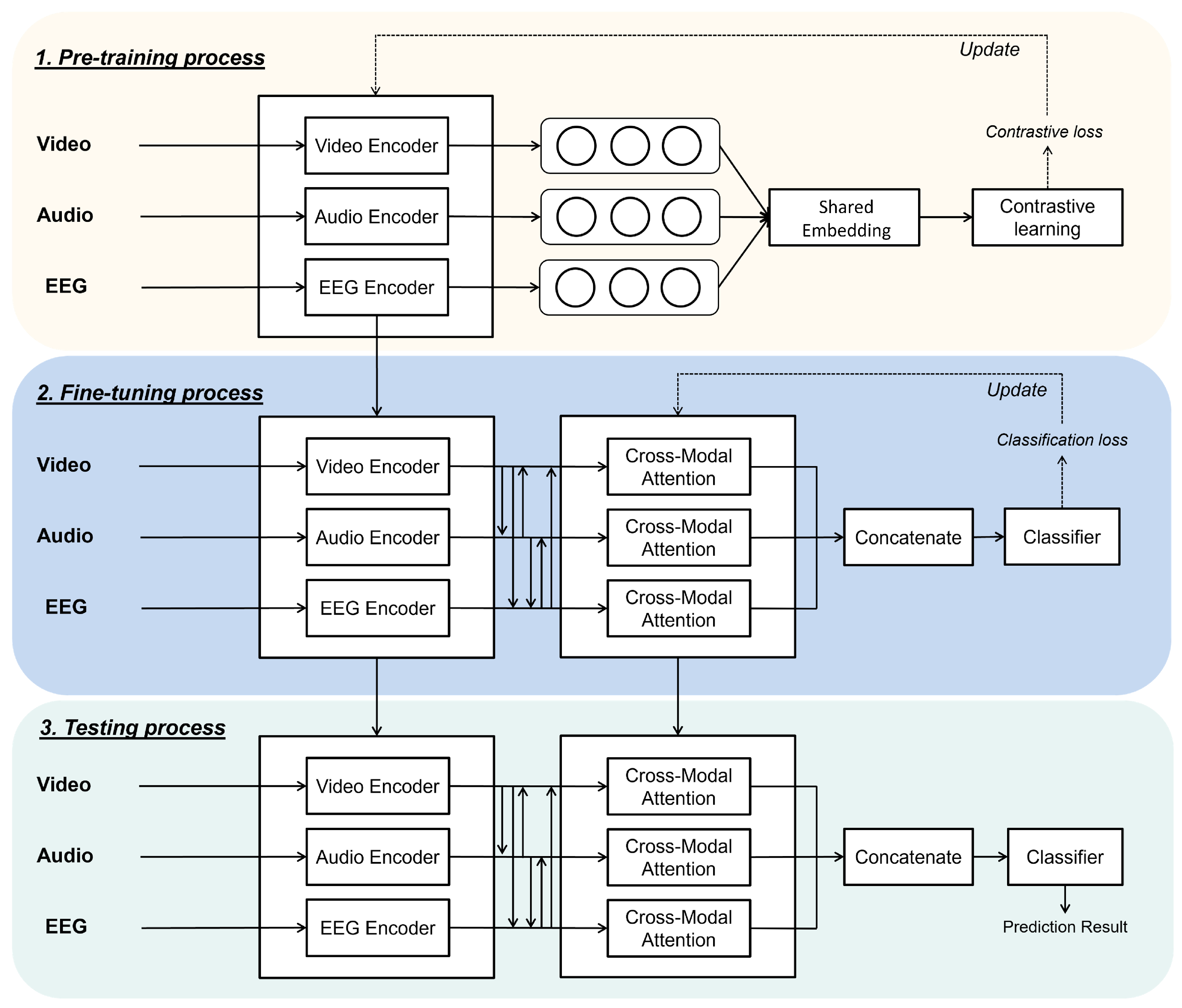 Bioengineering 11 00997 g001