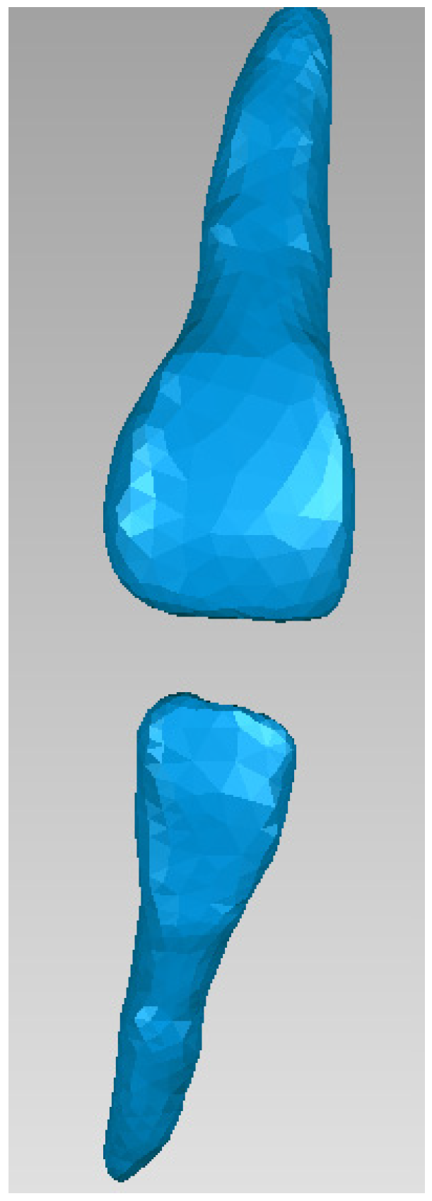 Bioengineering 11 01002 g010