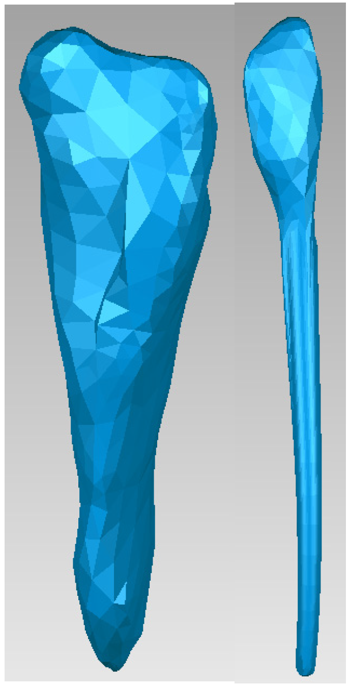 Bioengineering 11 01002 g014