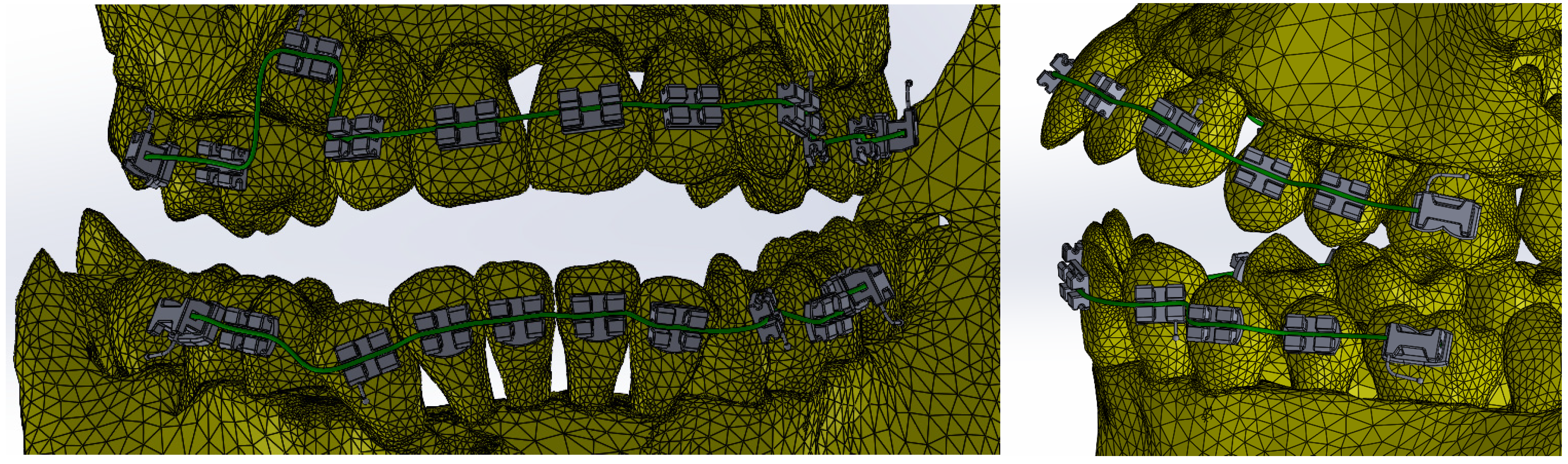 Bioengineering 11 01002 g017
