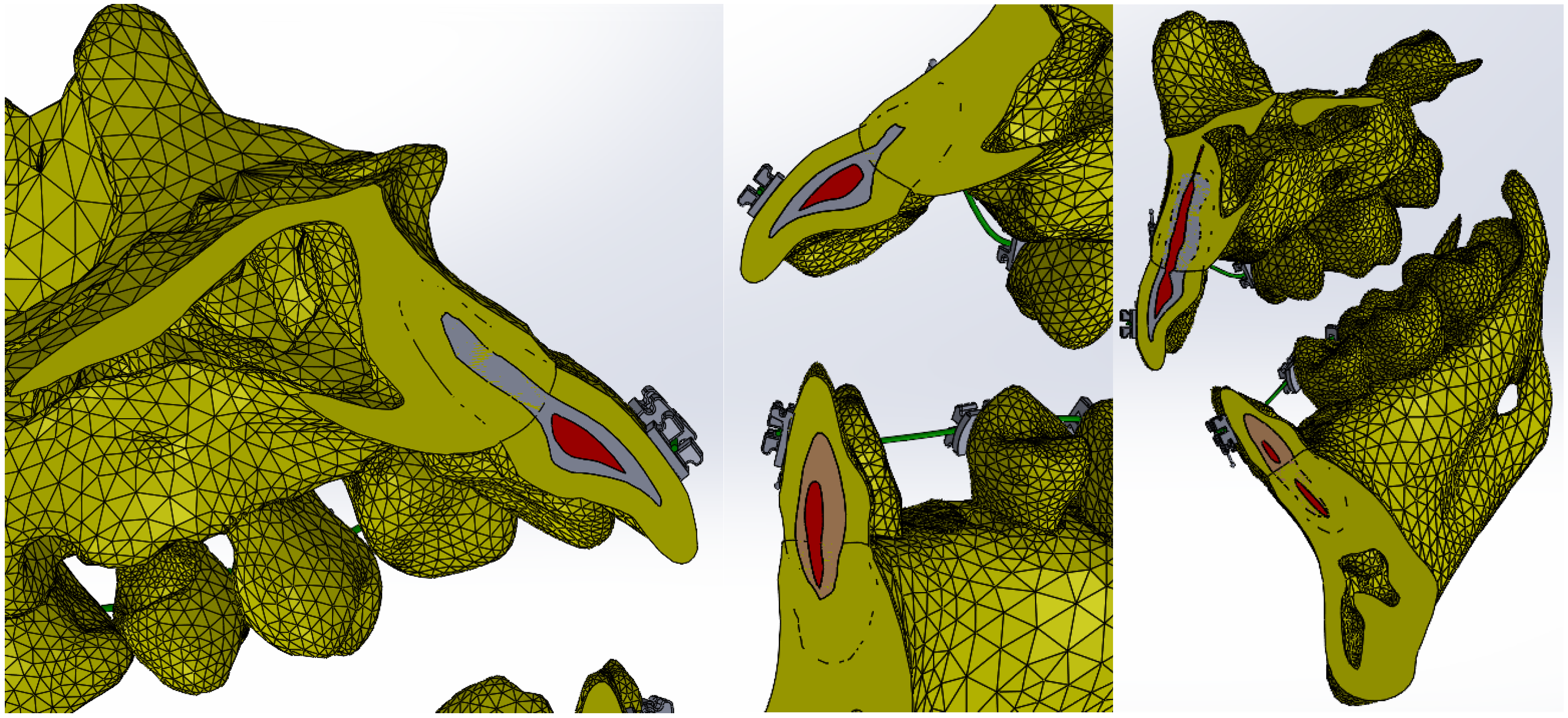Bioengineering 11 01002 g018