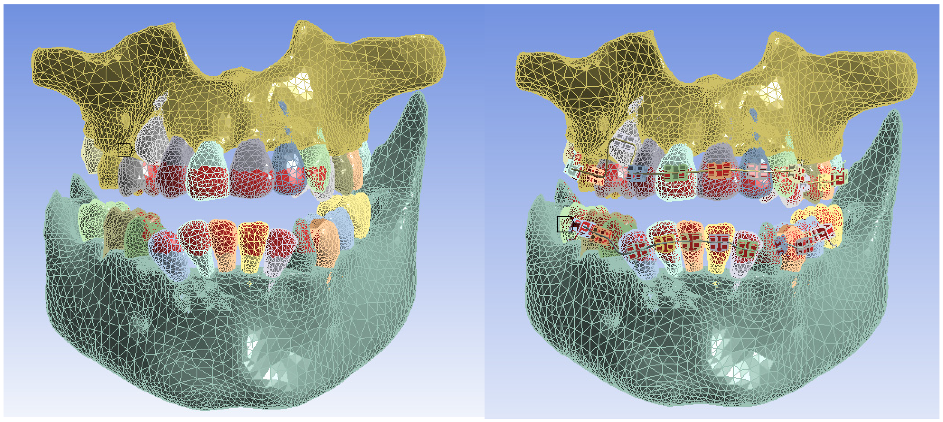 Bioengineering 11 01002 g021